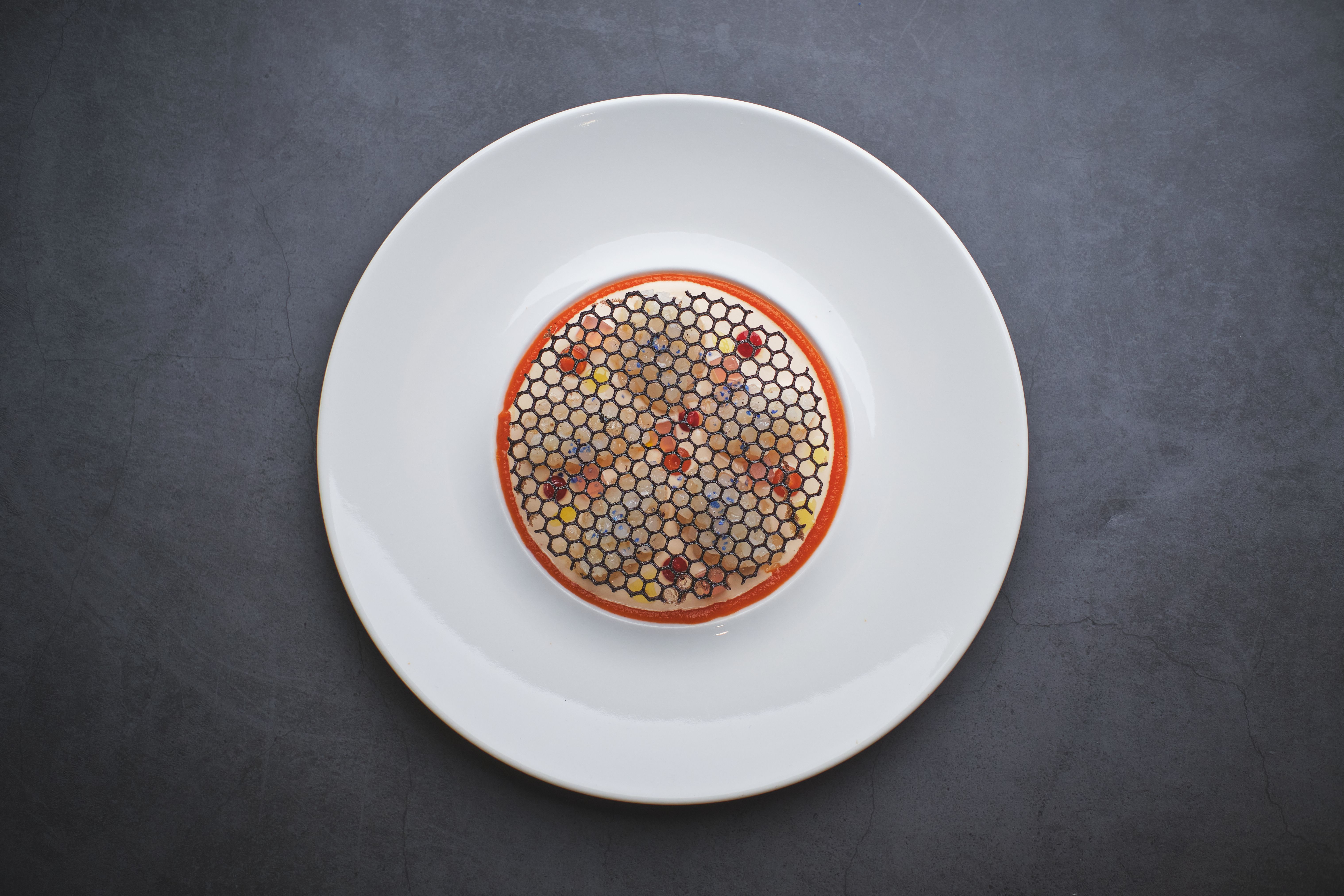 octaphilosophy dish