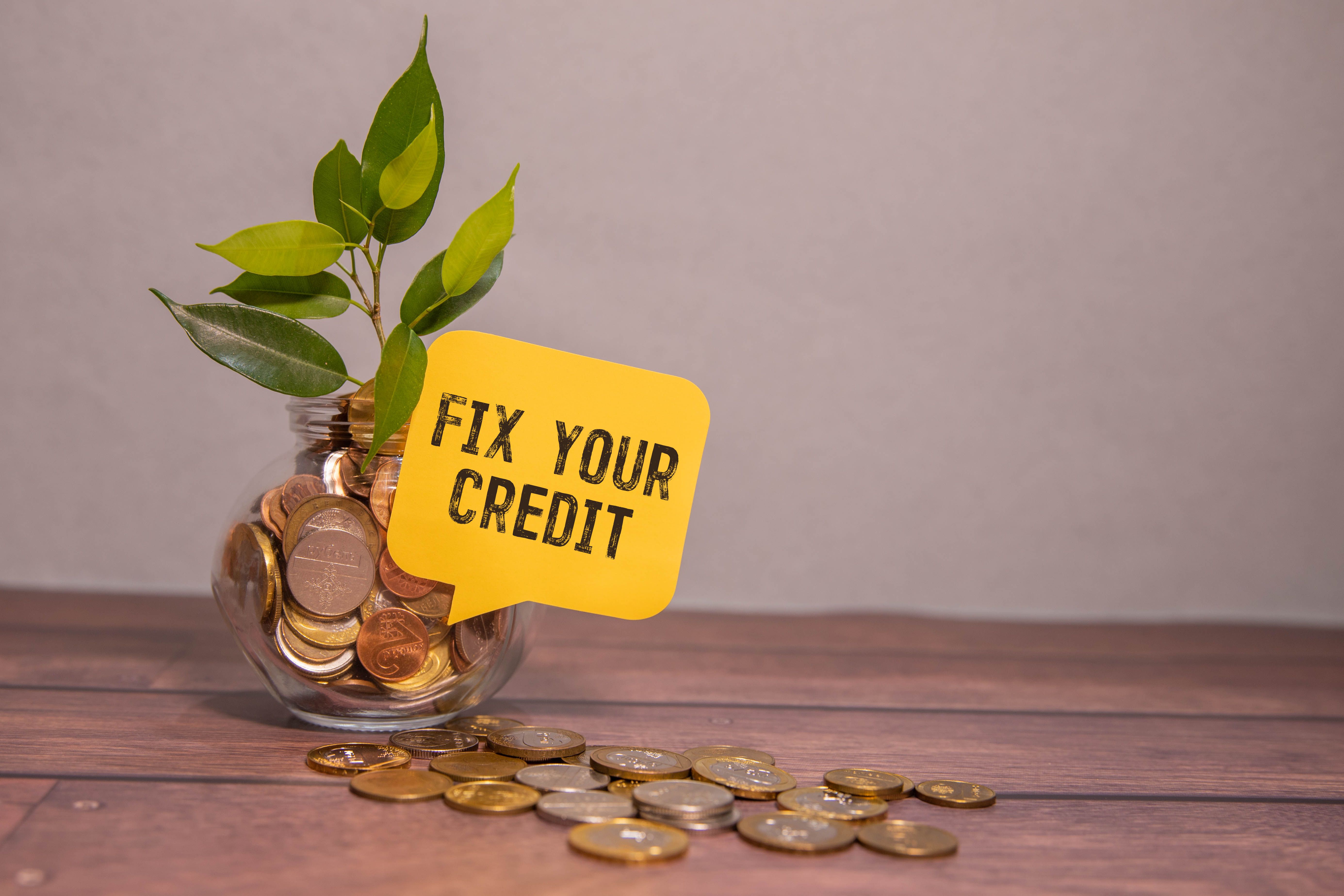 fix credit report