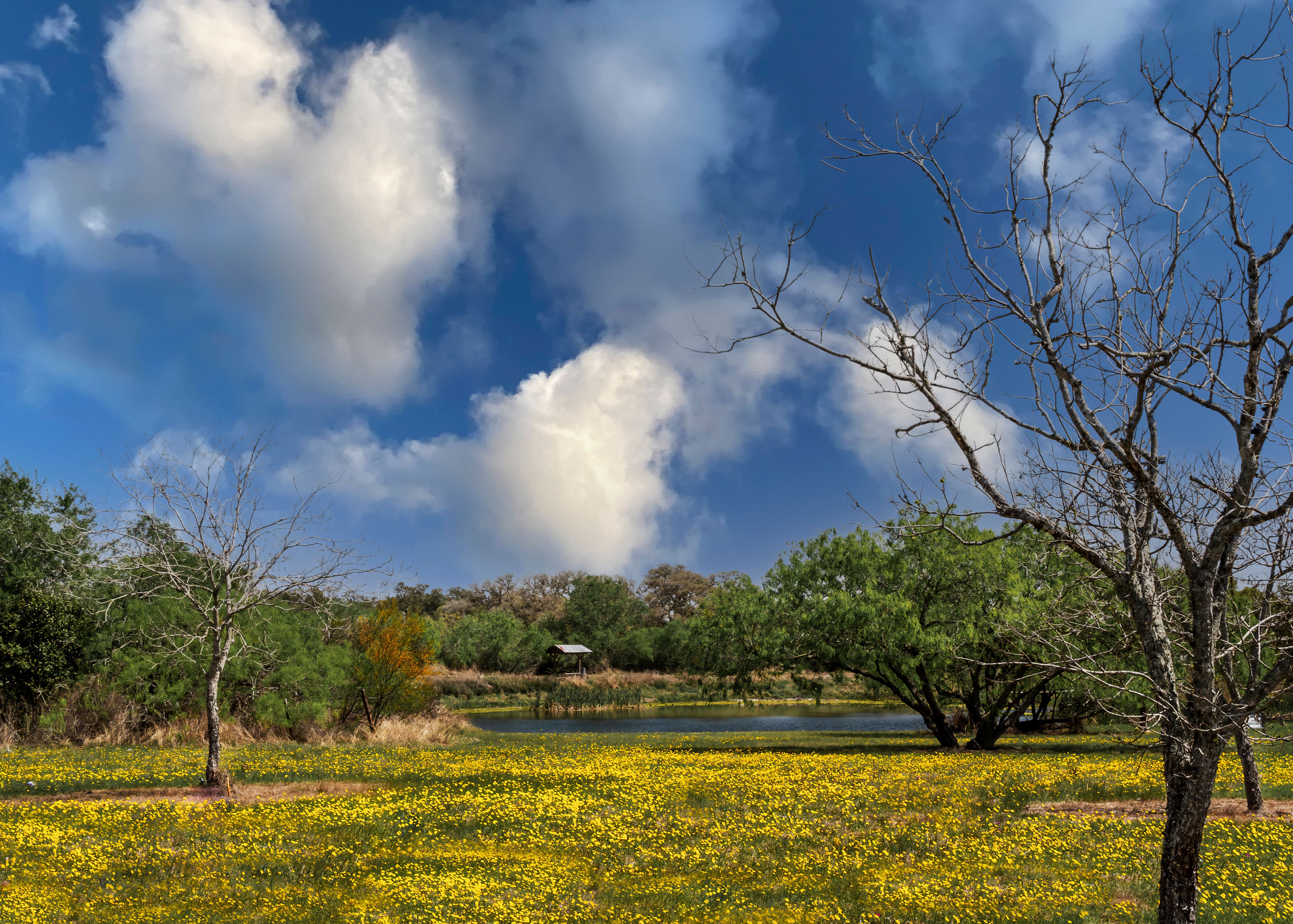 boerne spring weather