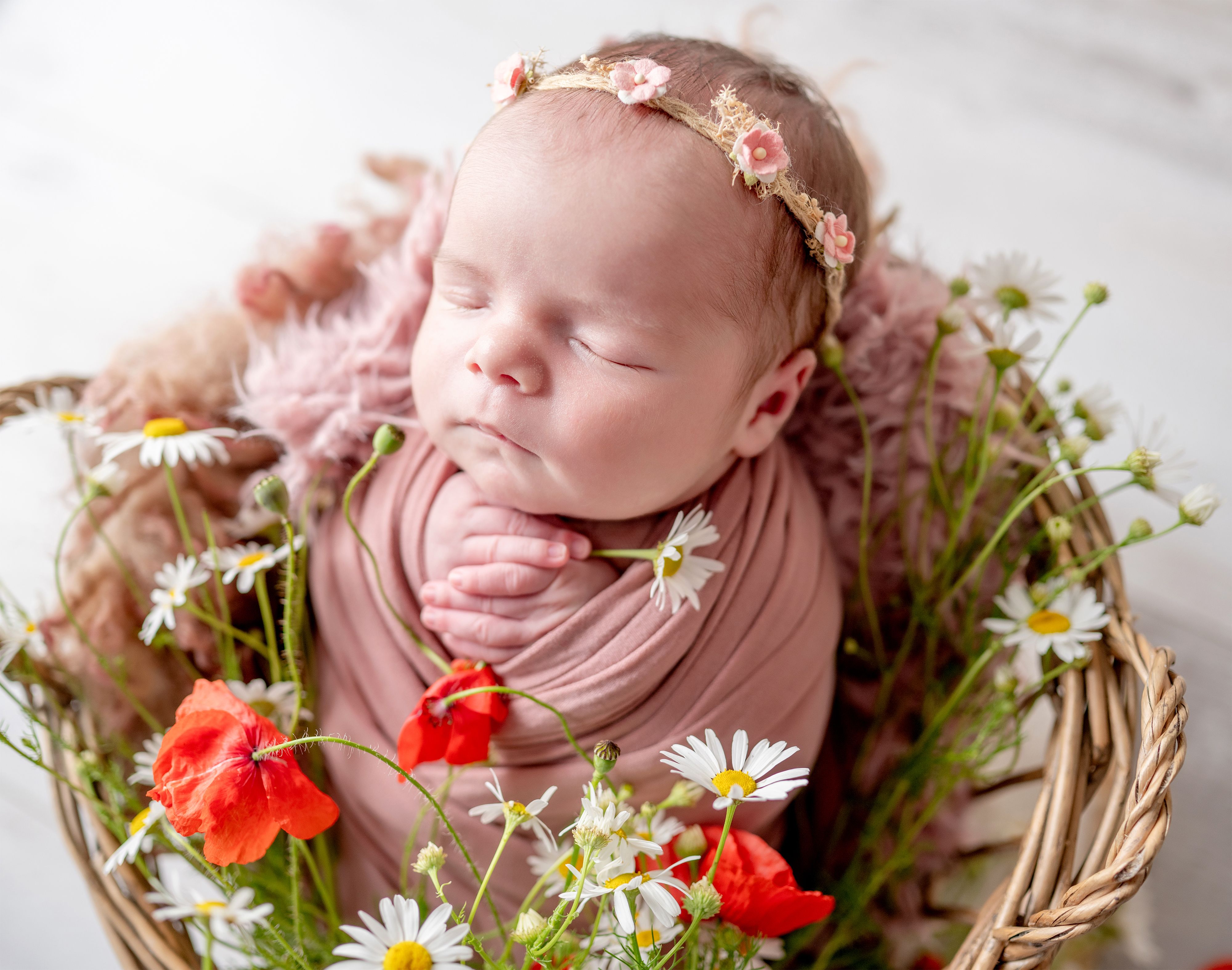 baby photoshoot