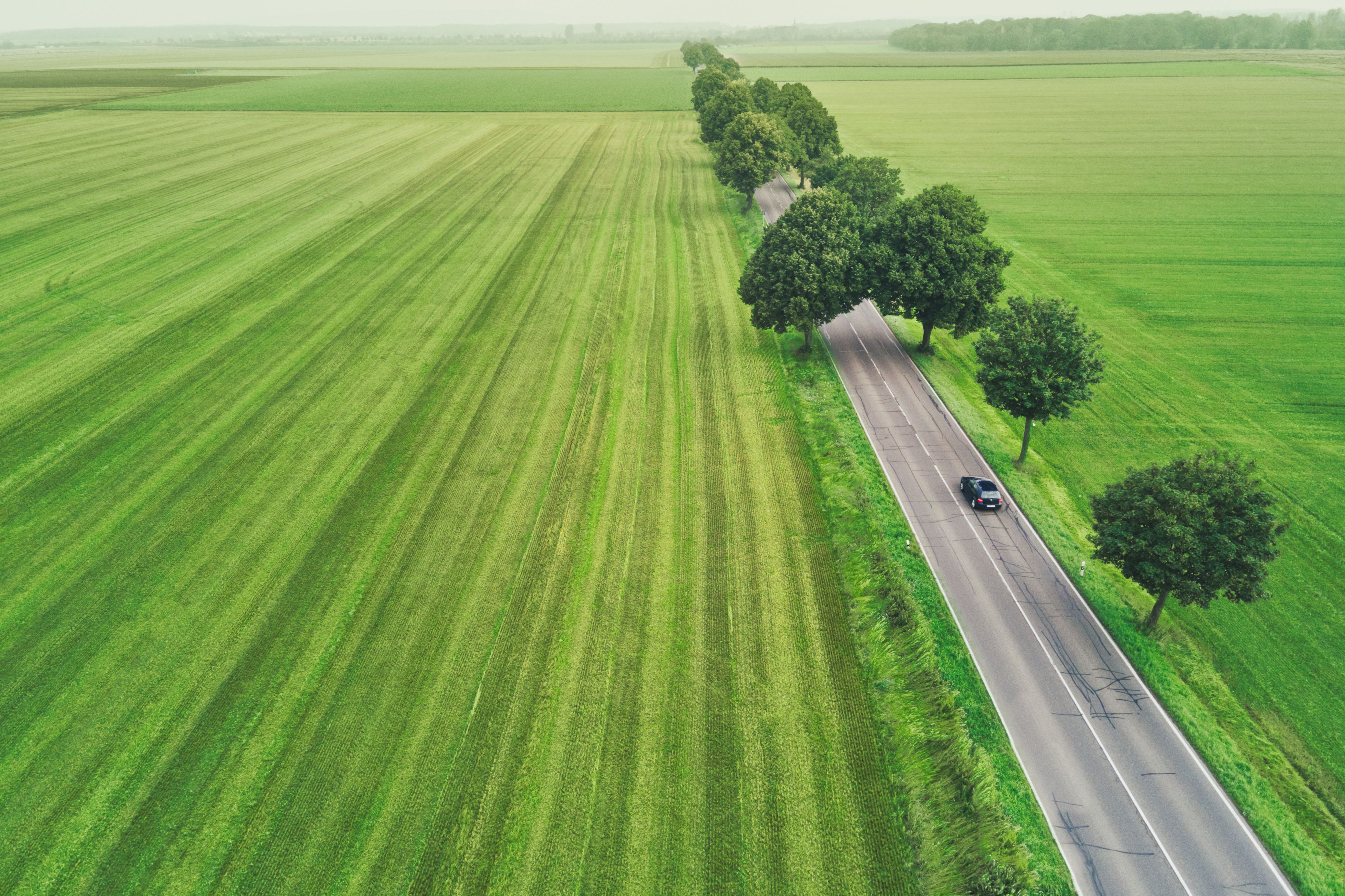 eco-friendly cars