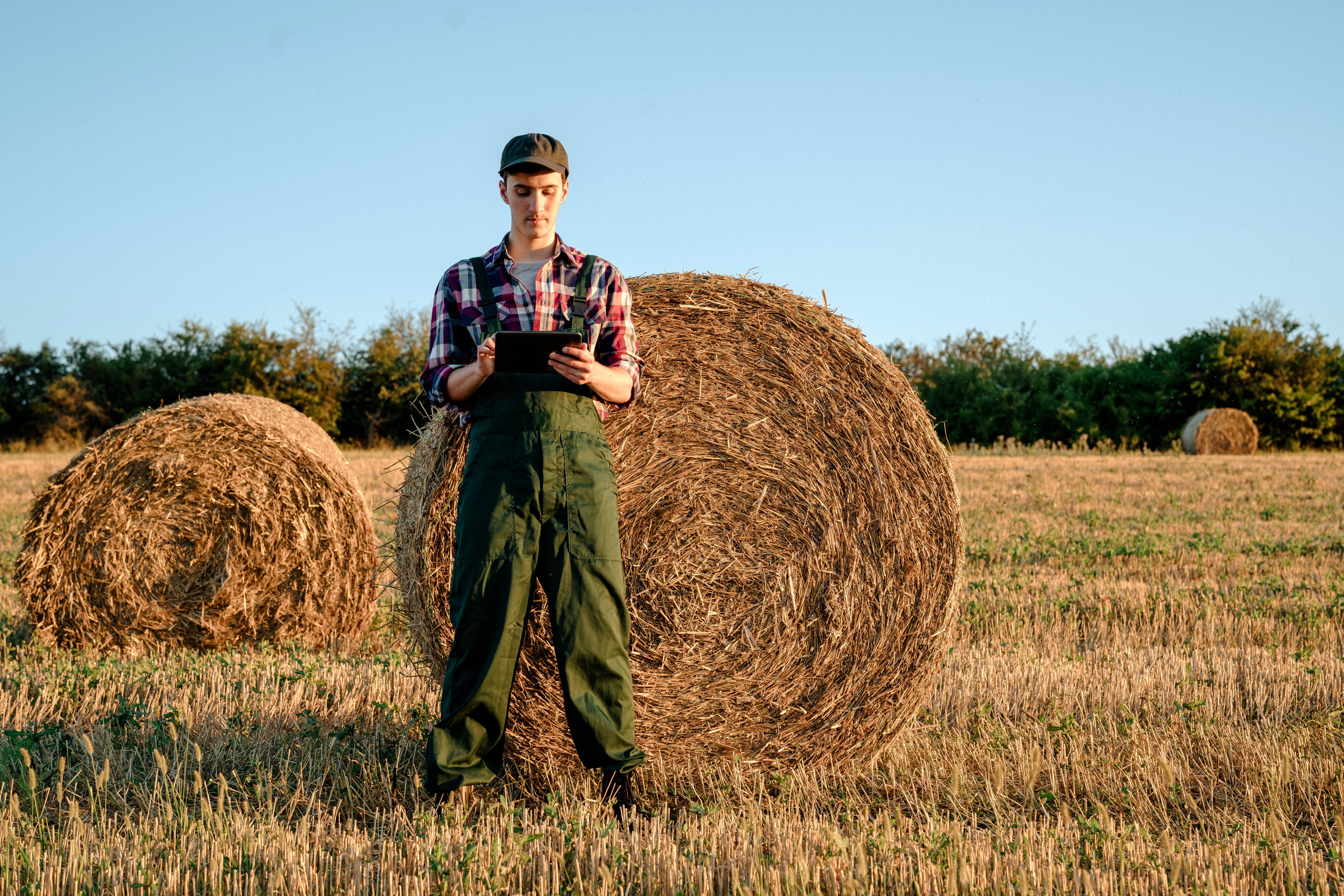 Young male farmer standing in the wheat field with straw bales using tablet