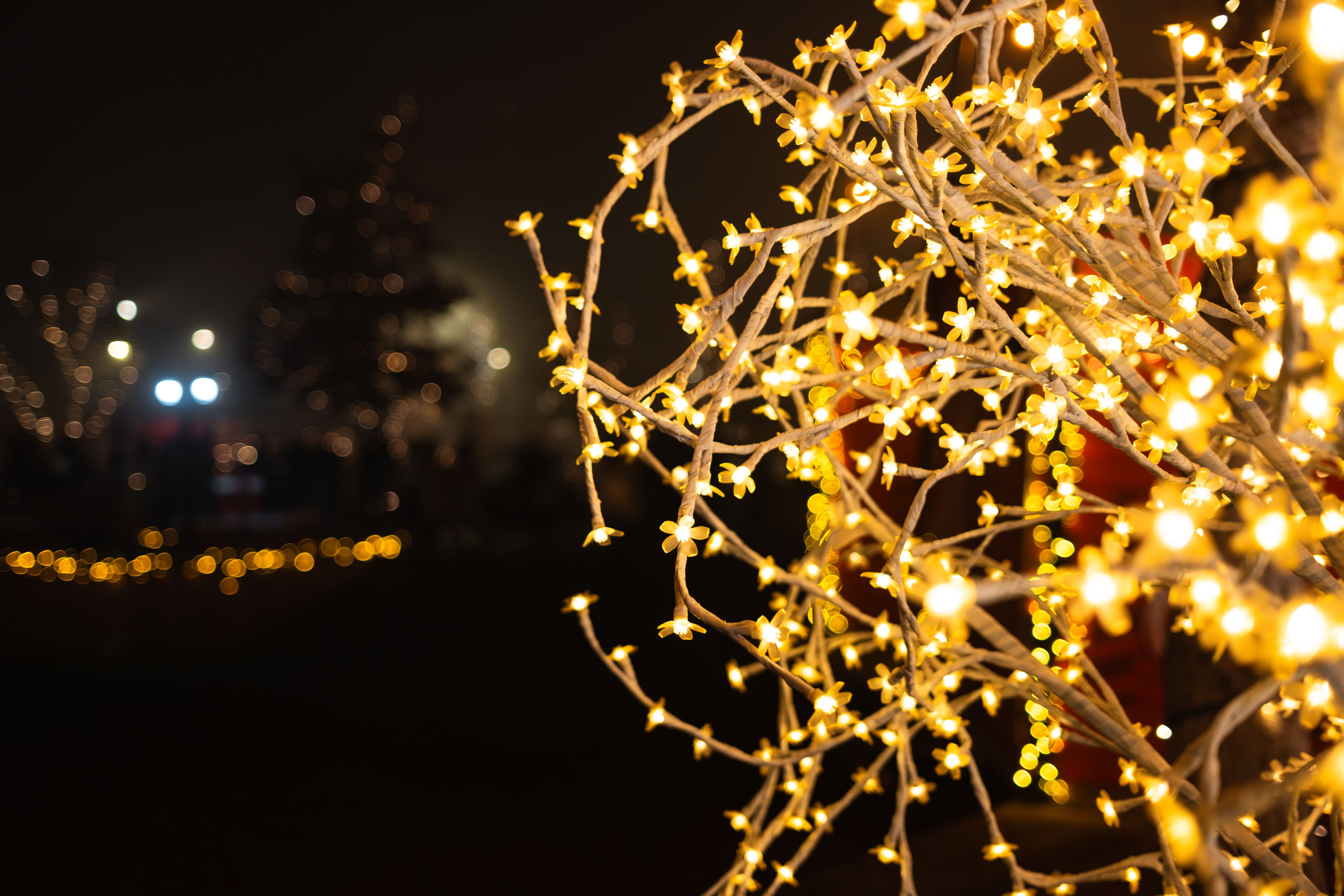 holiday lights types