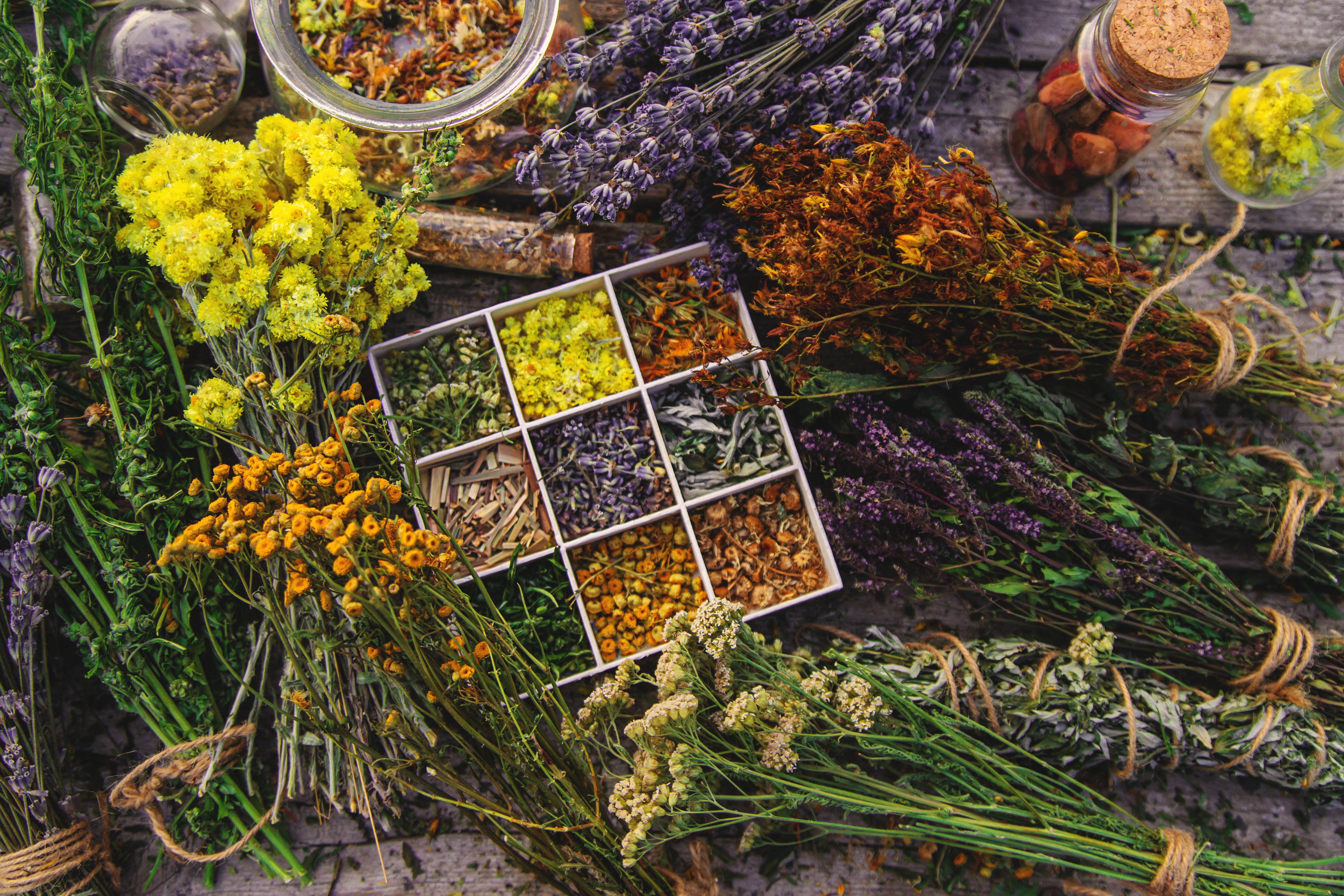 Medicinal herbs on the table. Selective focus.