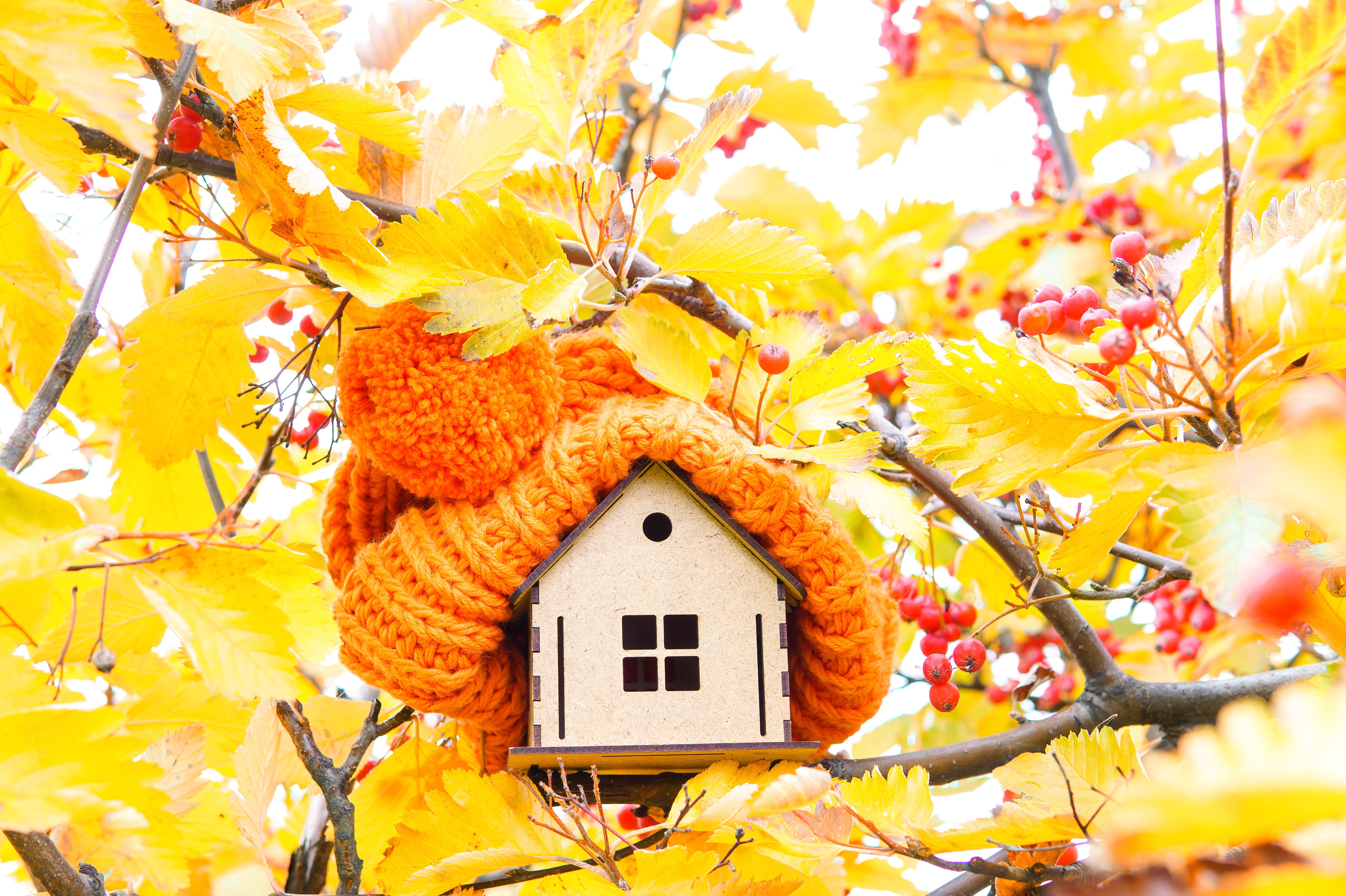 autumn home maintenance