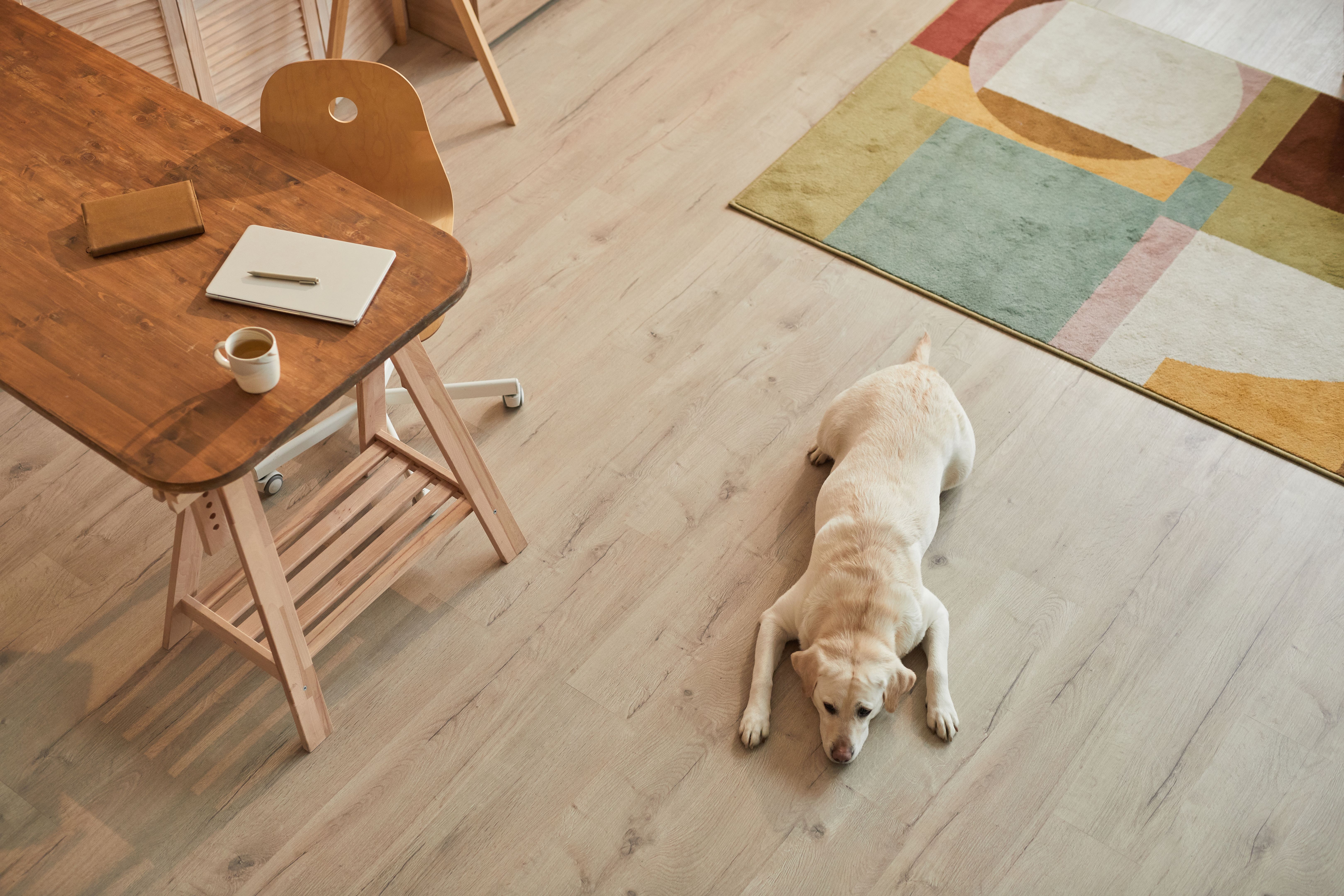 pet home flooring