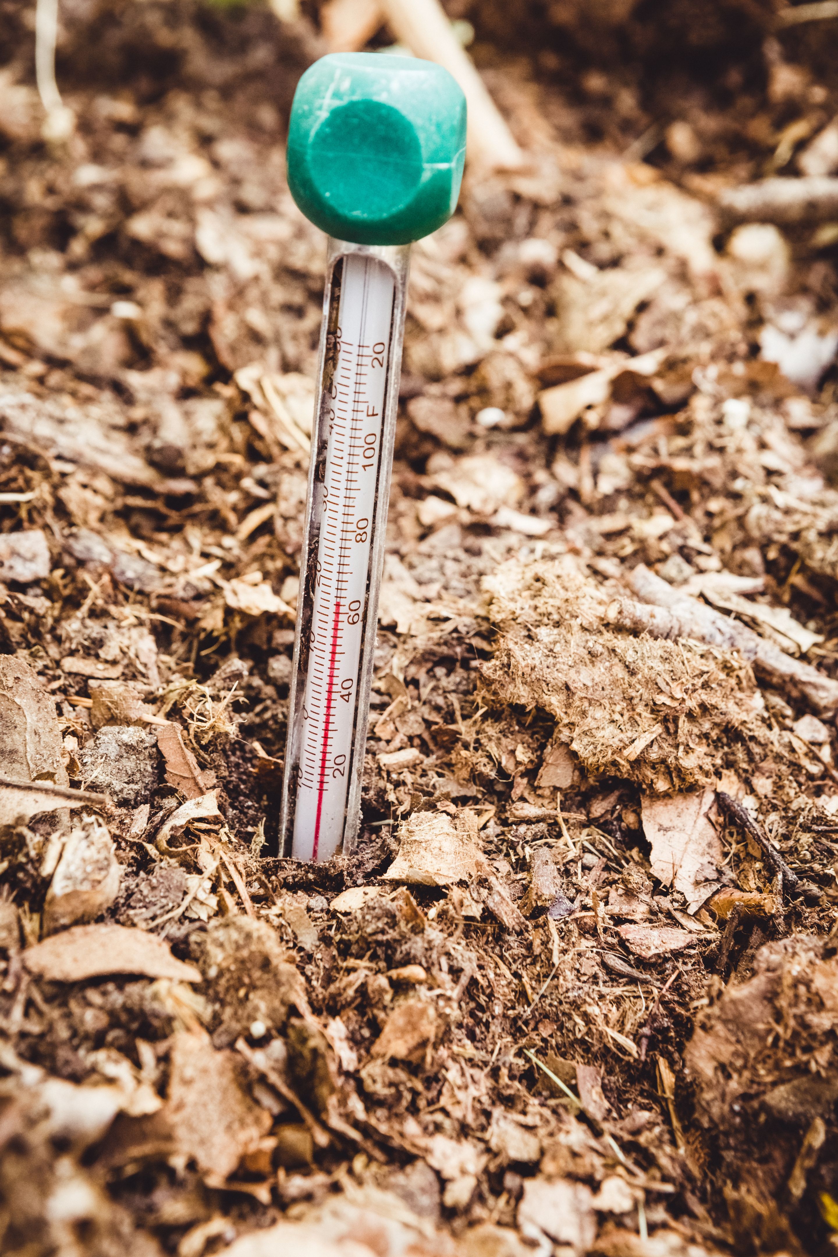 compost thermometer