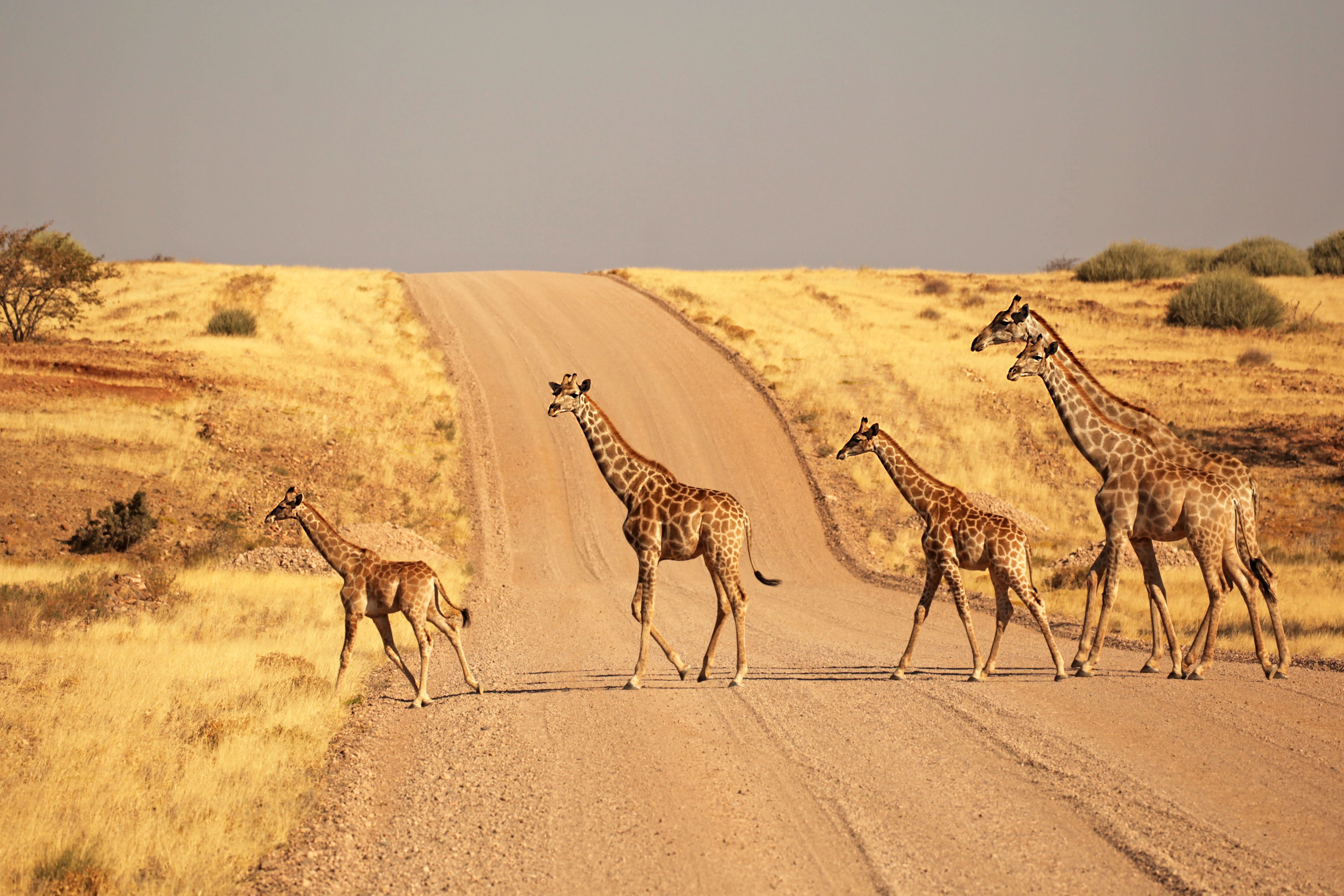 namibia landscape