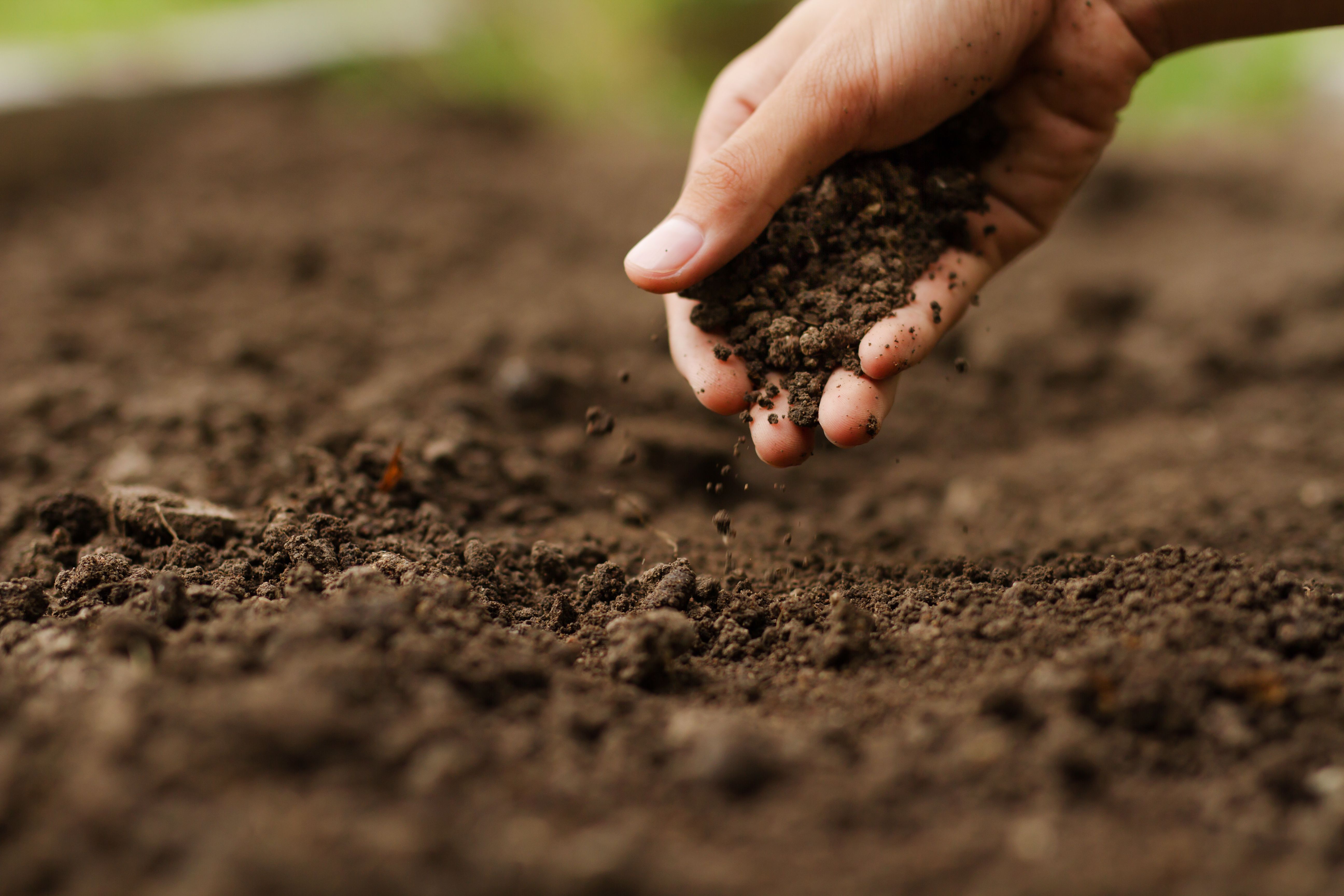 land preparation