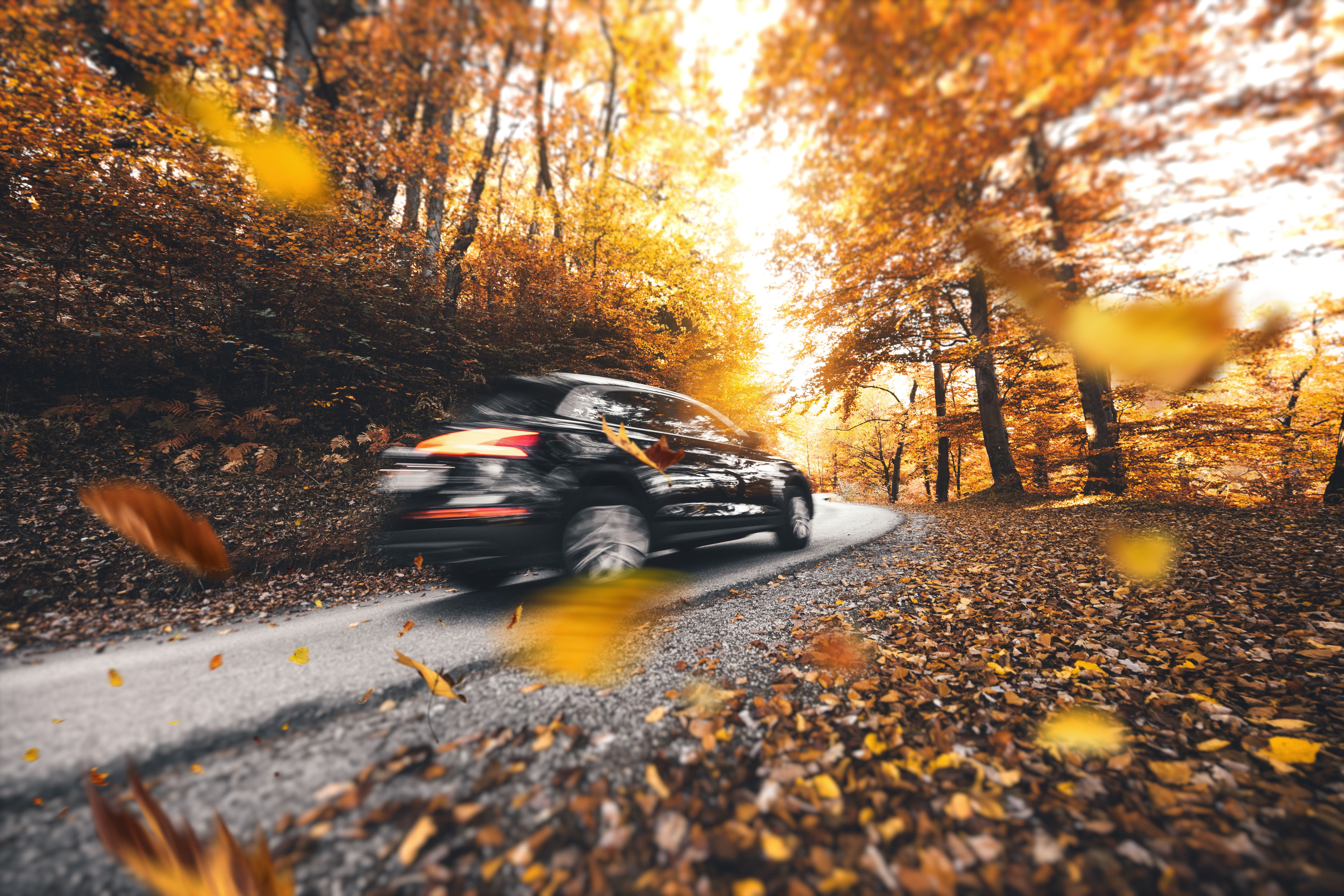 fall car