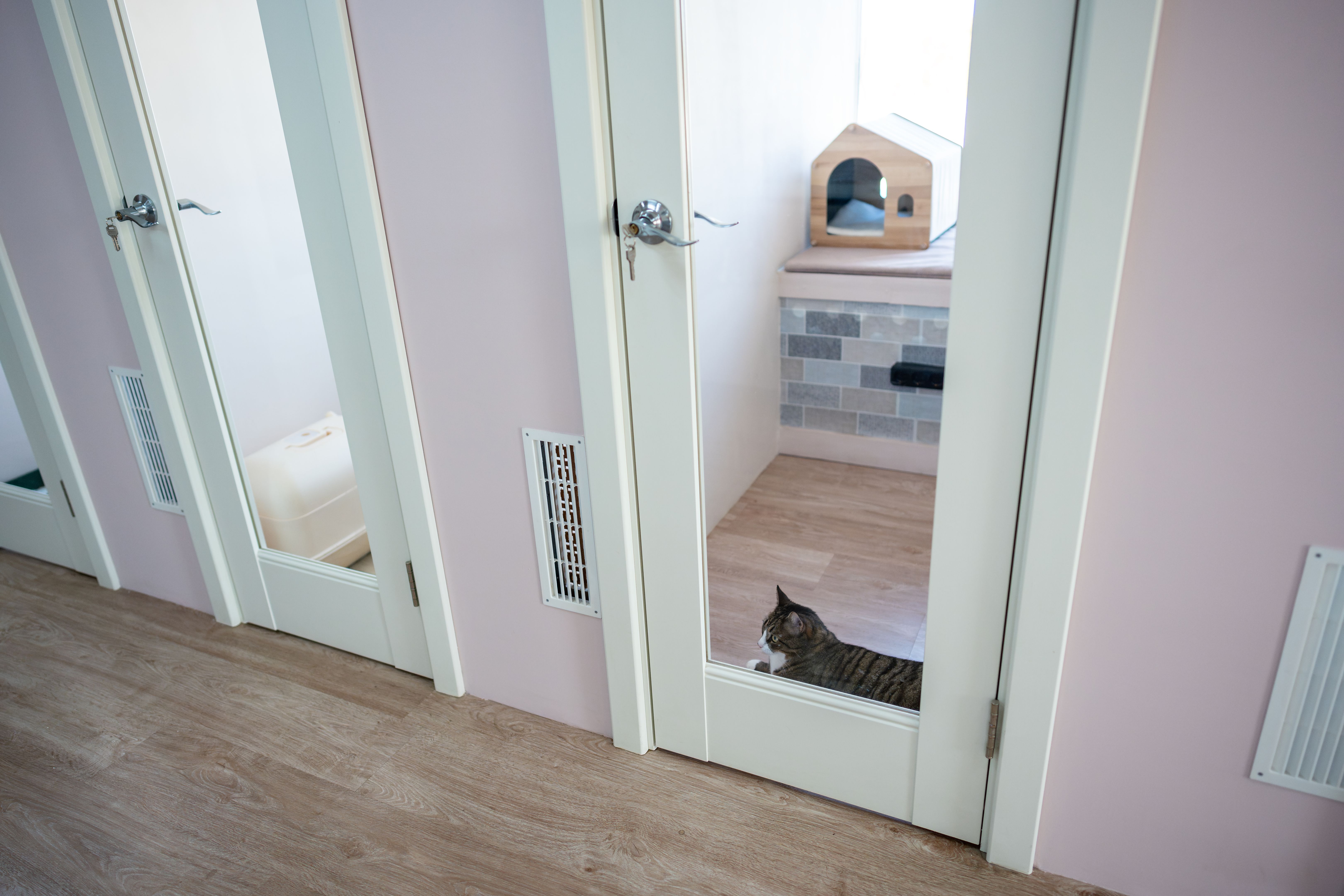 pet boarding