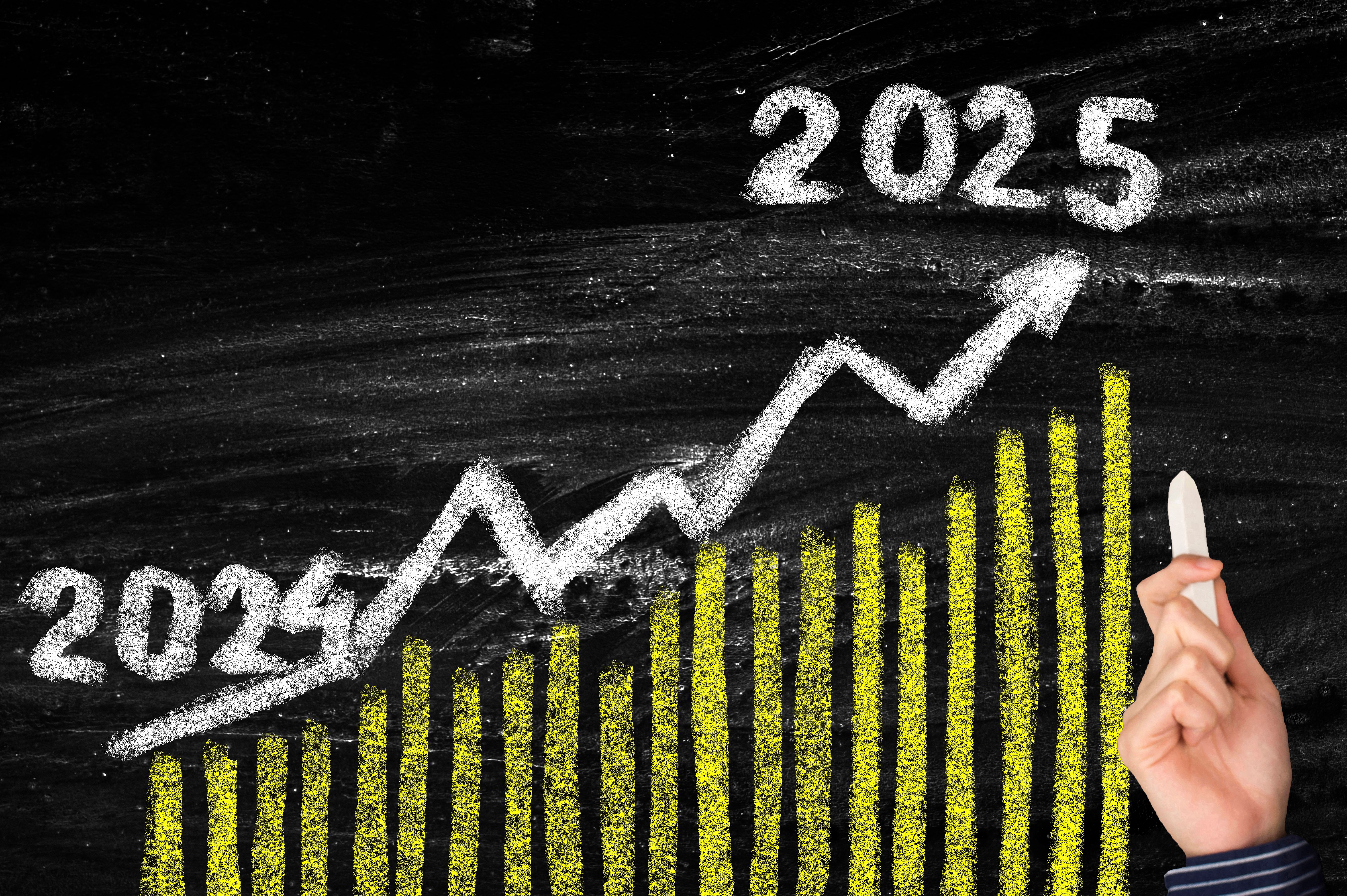 Progress of business in years 2024-2025