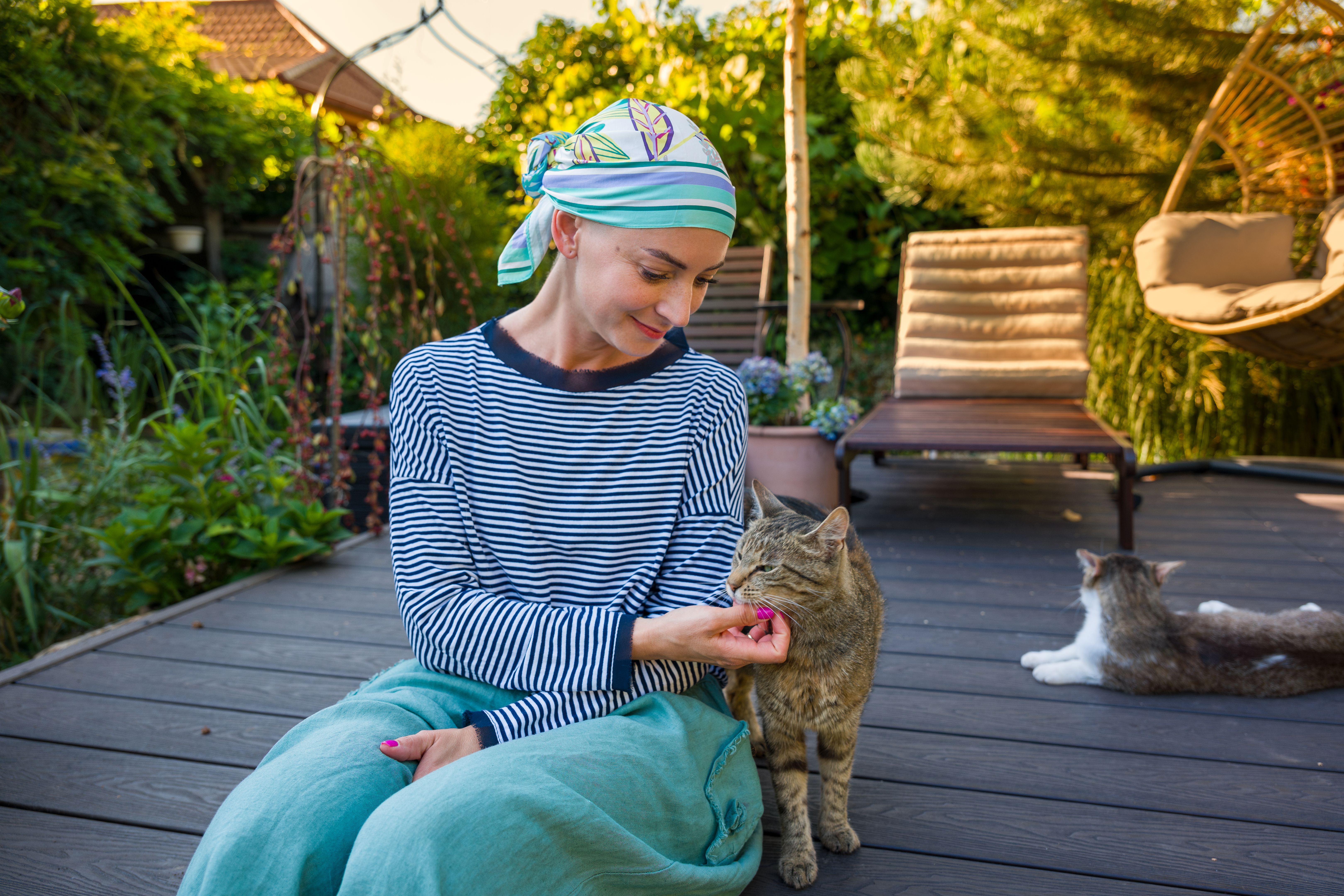 emotional support animals