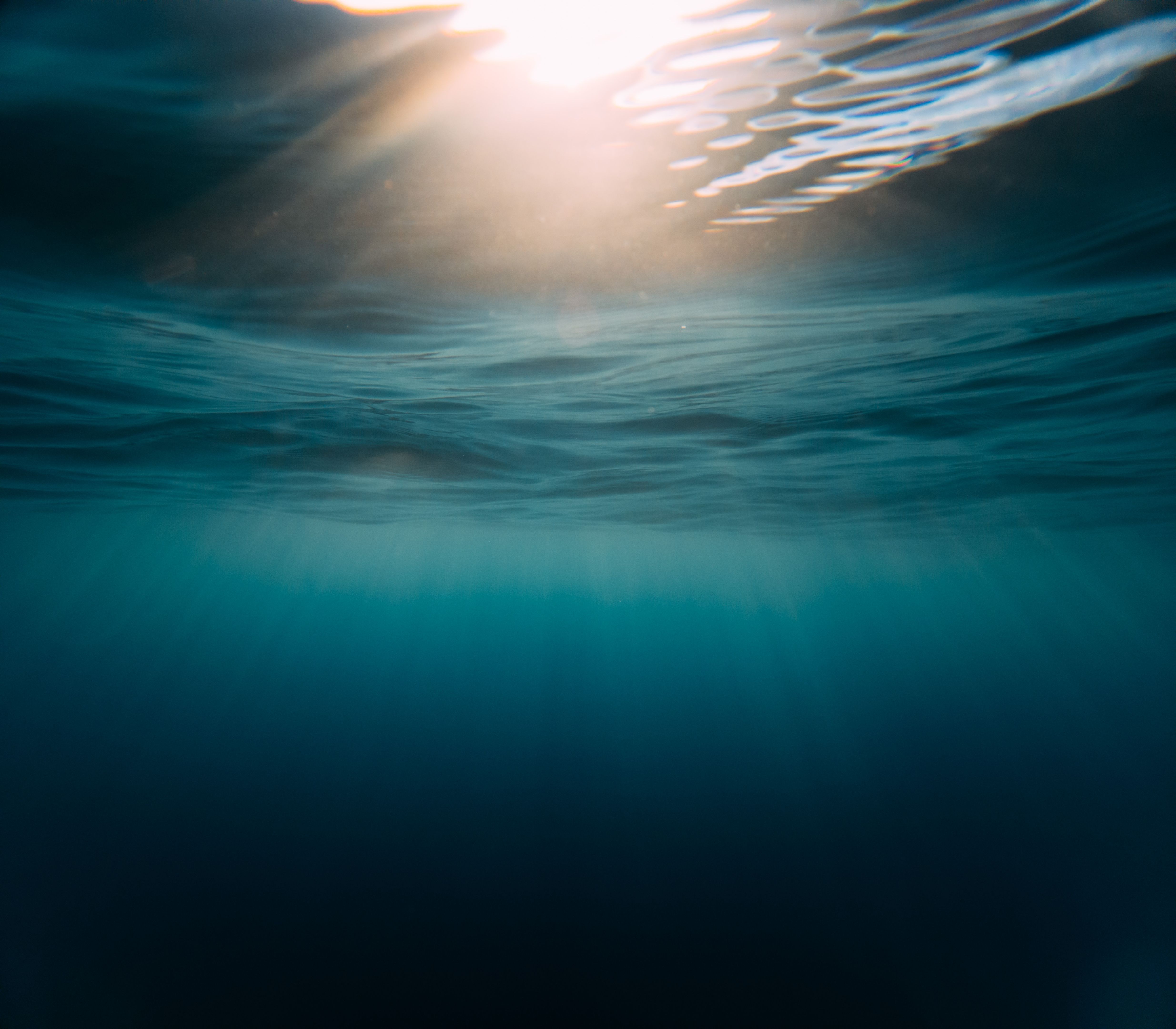 underwater photography