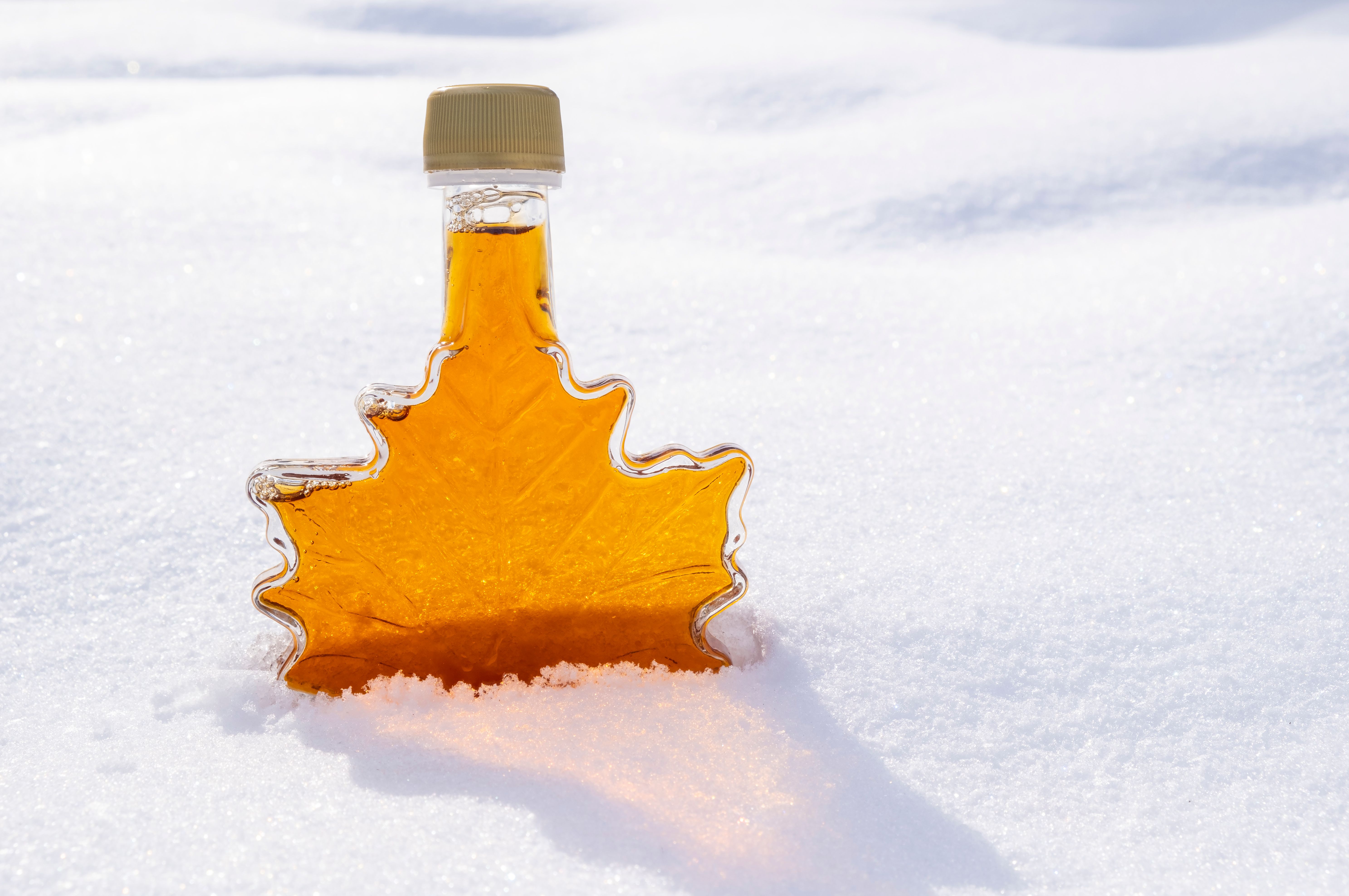 Maple Leaf Shaped Bottle Filled with Golden Maple Syrup Submerged in Fresh Snow