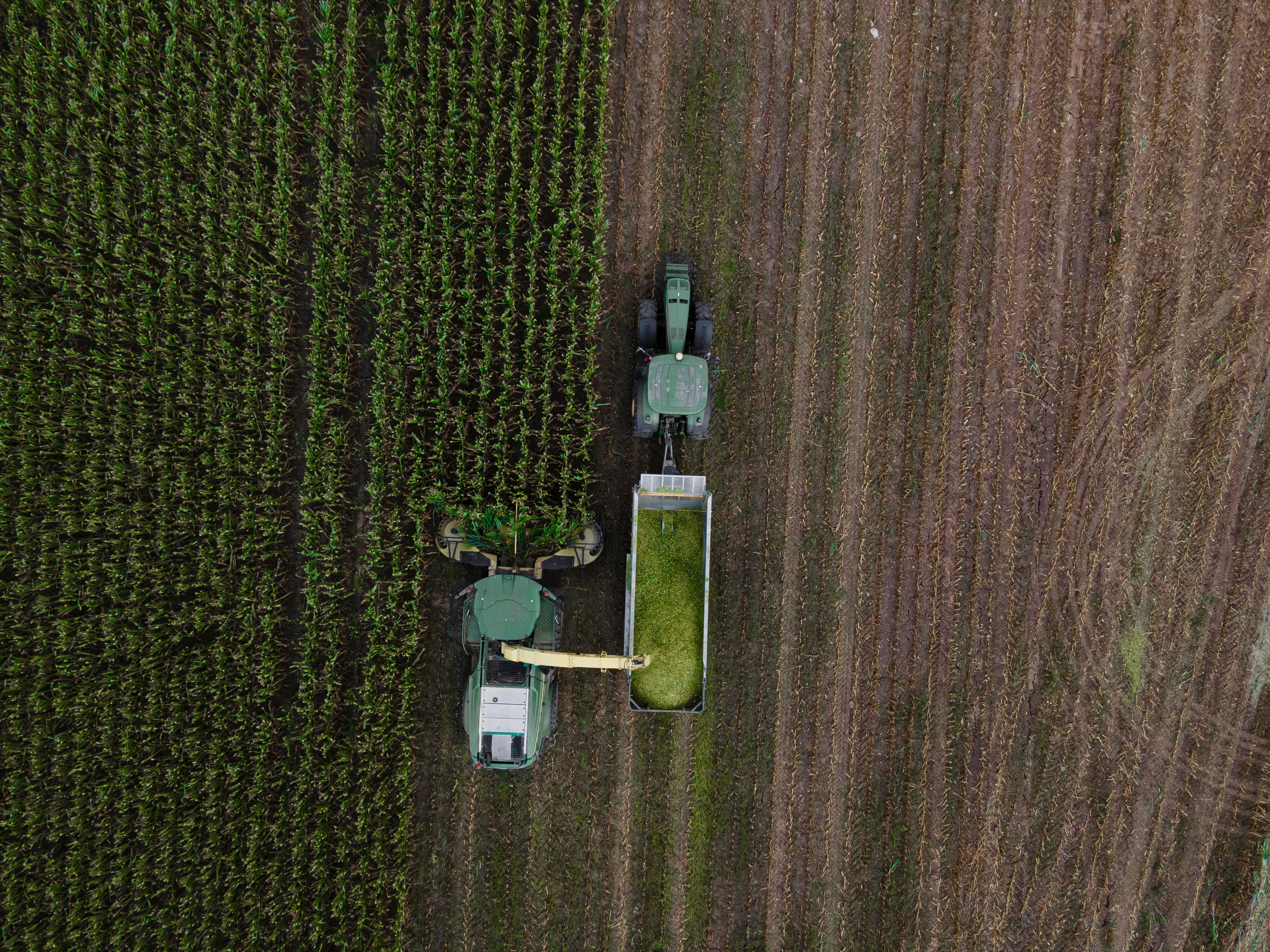 precision agriculture