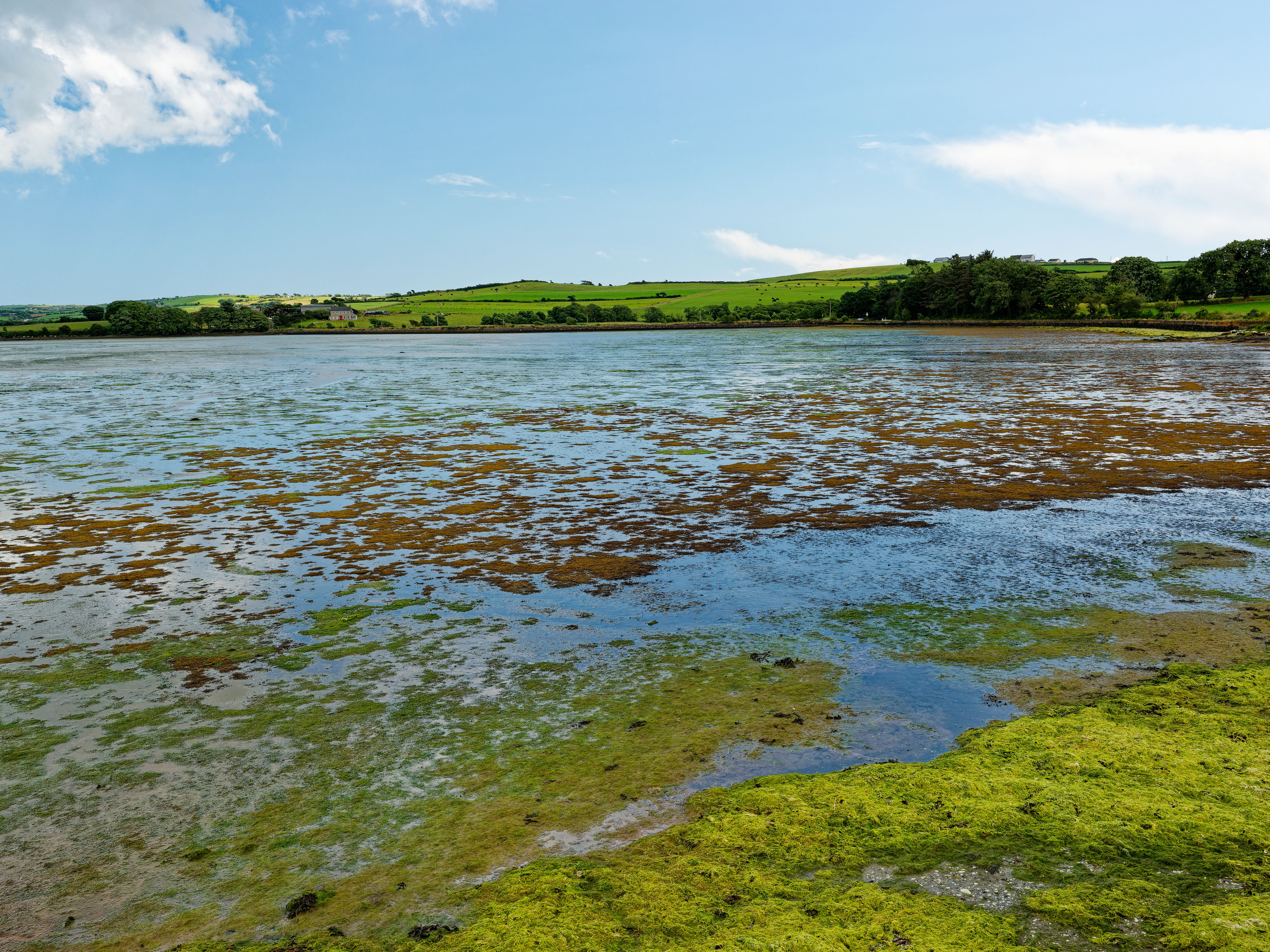 Stunning view of a tranquil bay at low tide. Rolling green hills meet the vast expanse of water, creating a breathtaking panorama. Perfect for travel brochures and nature publications. Stunning view of a tranquil bay at low tide. Rolling green hills meet the vast expanse of water, creating a breathtaking panorama. Perfect for travel brochures and nature publications.