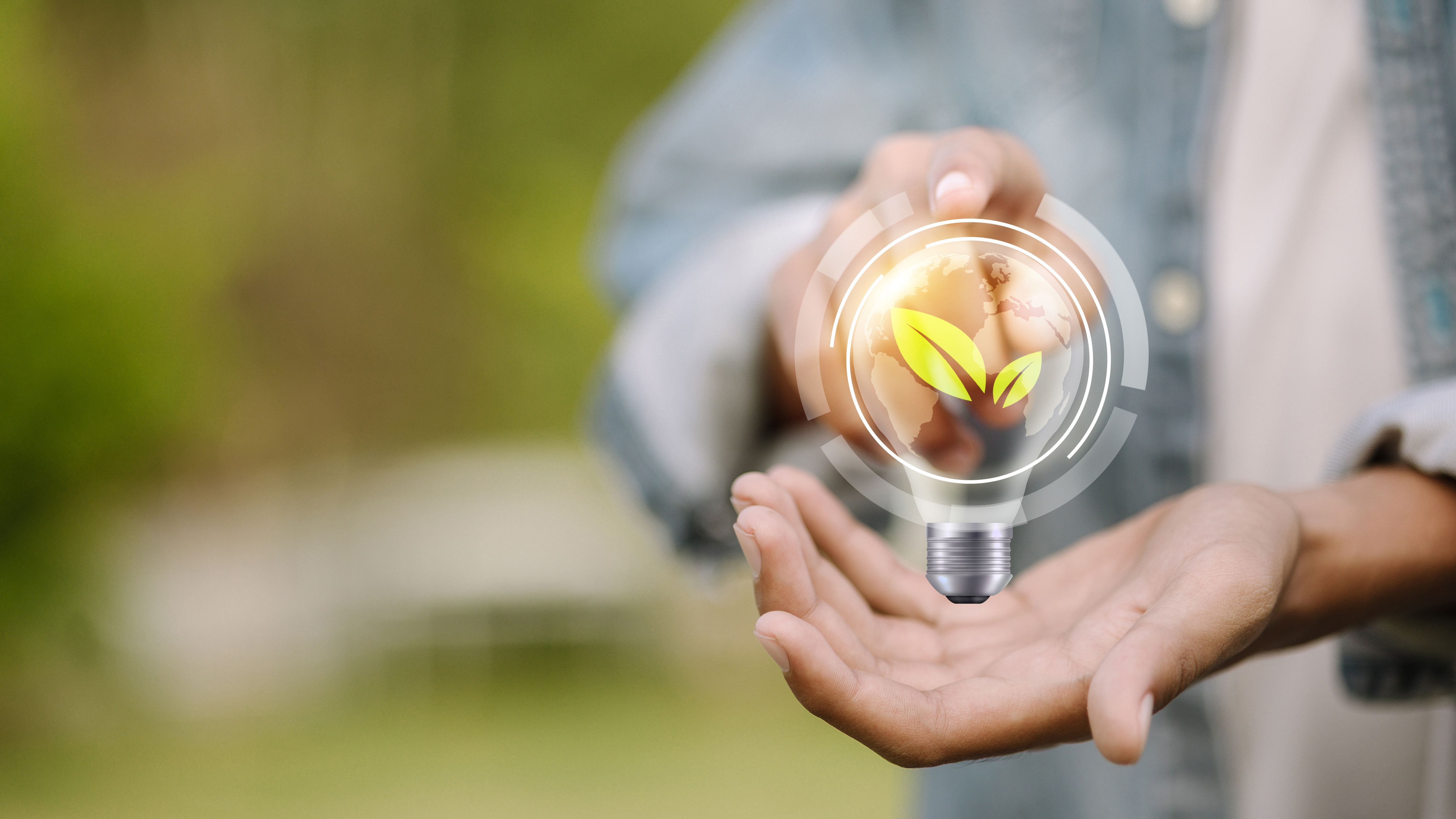 biomimicry innovation