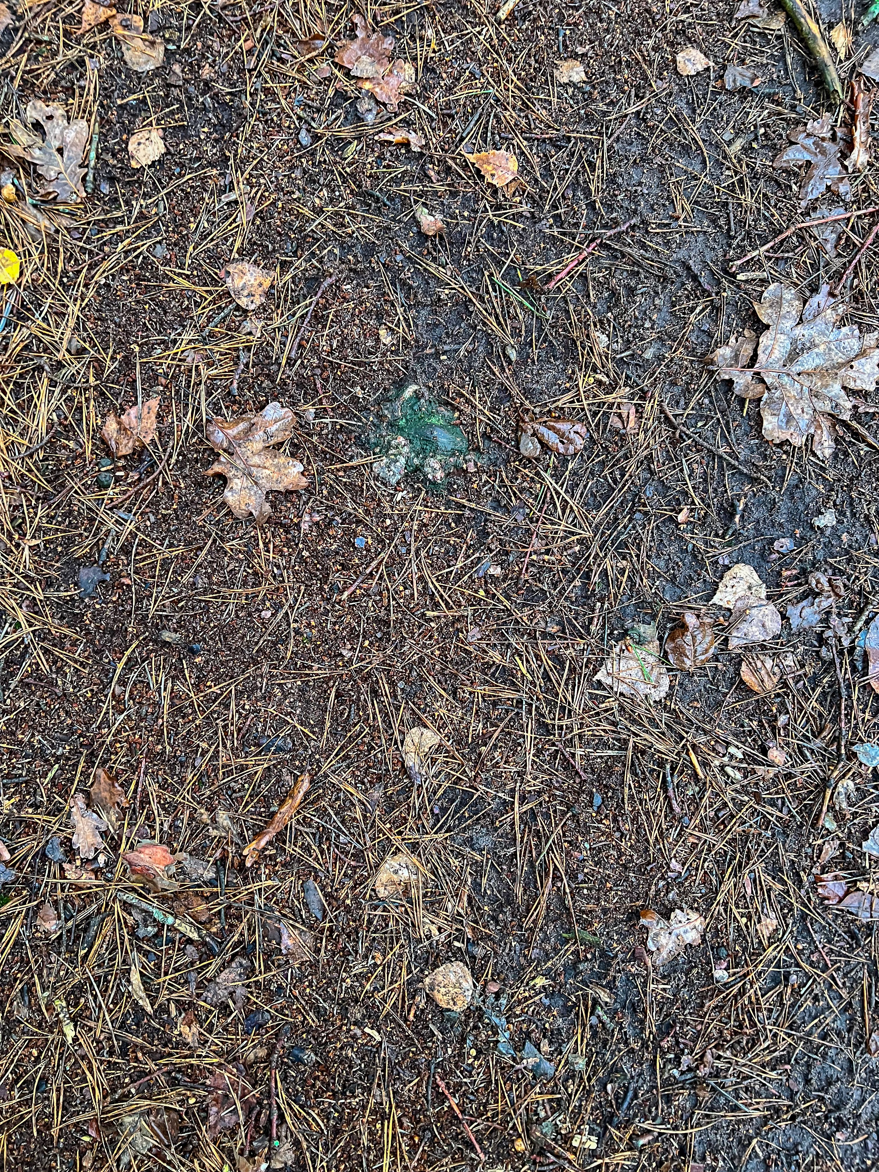 equine waste management