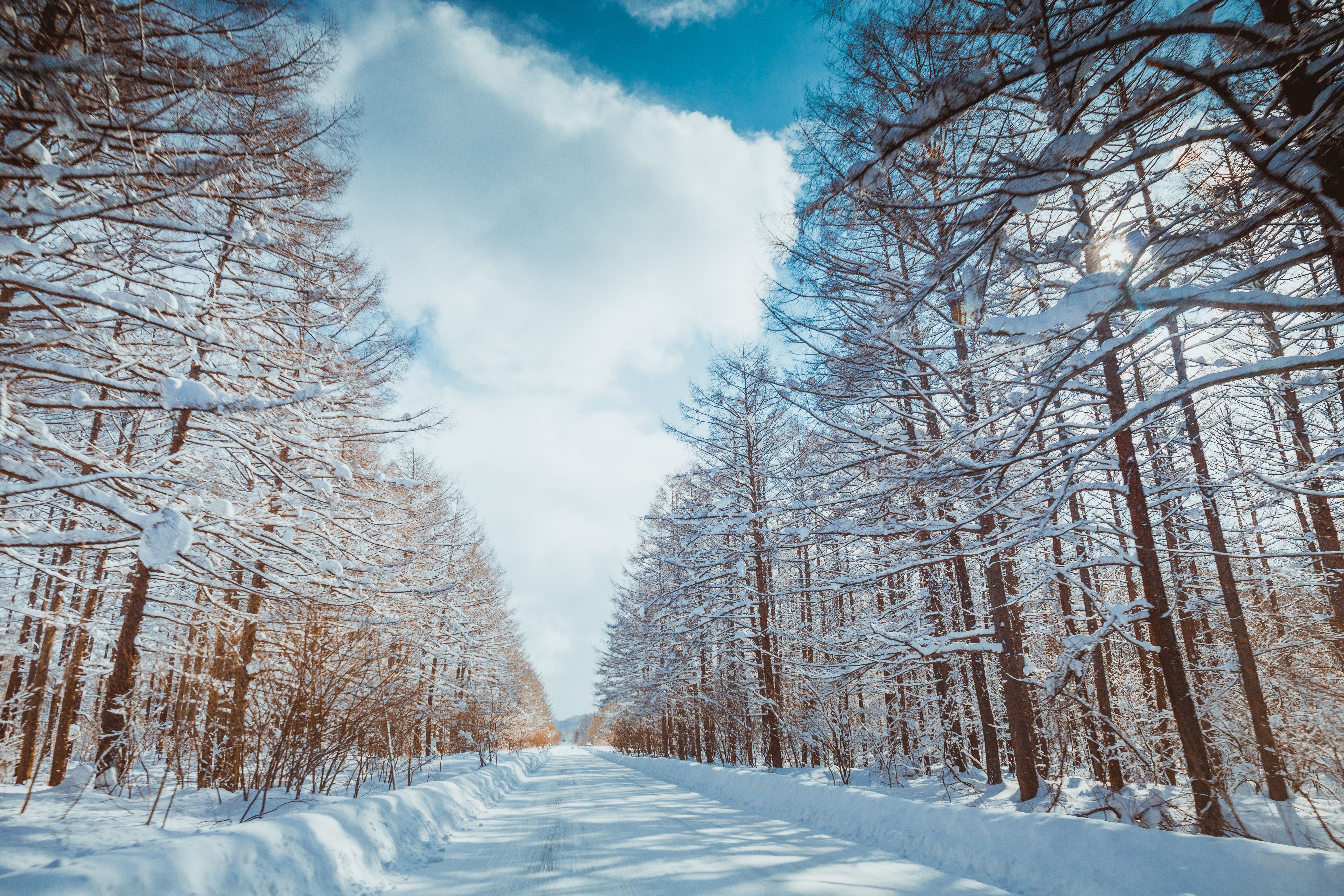 Snowy landscape in the suburbs Snowy landscape in the suburbs