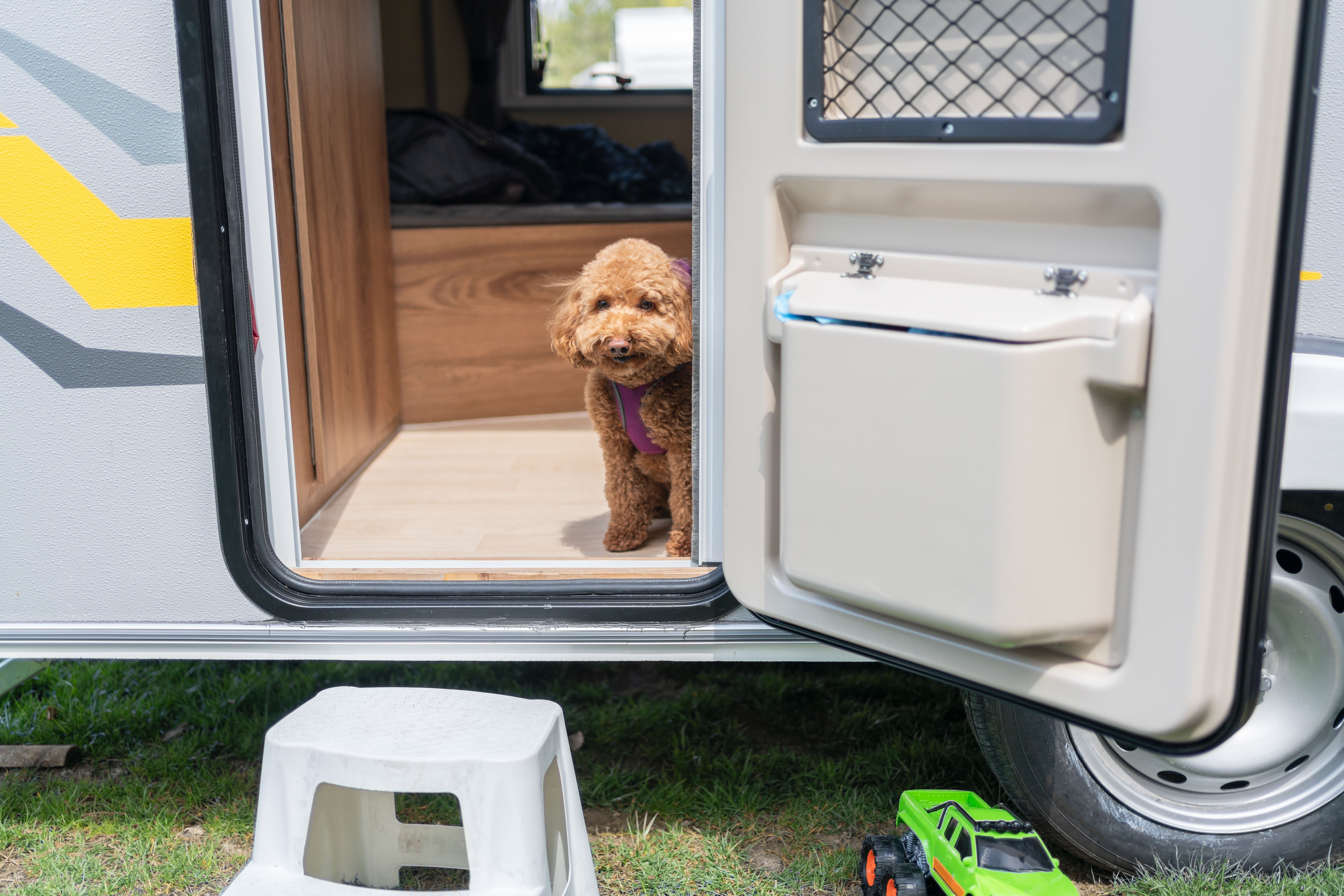 Life İn A Caravan  With A Dog