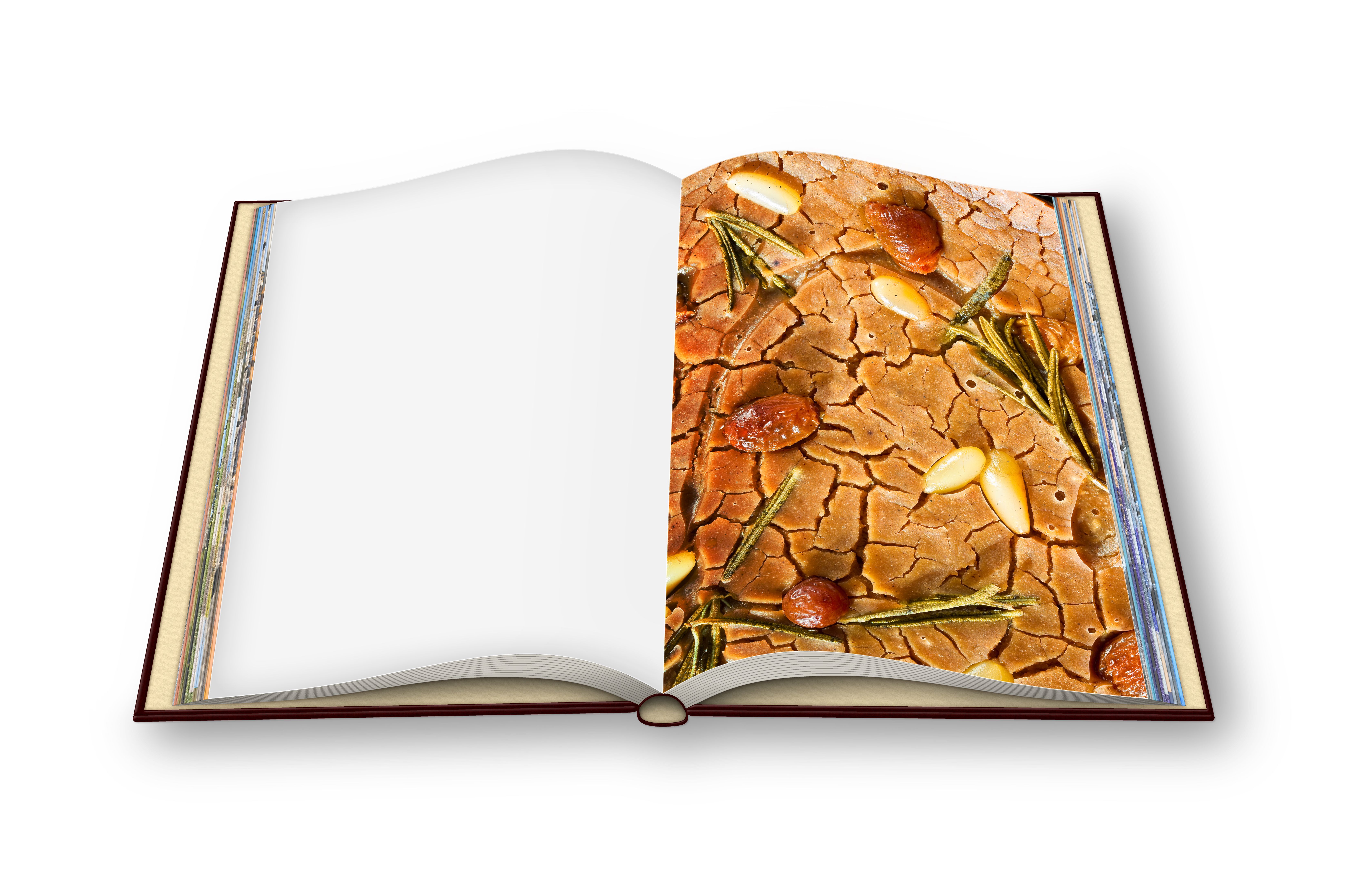 world cuisine book