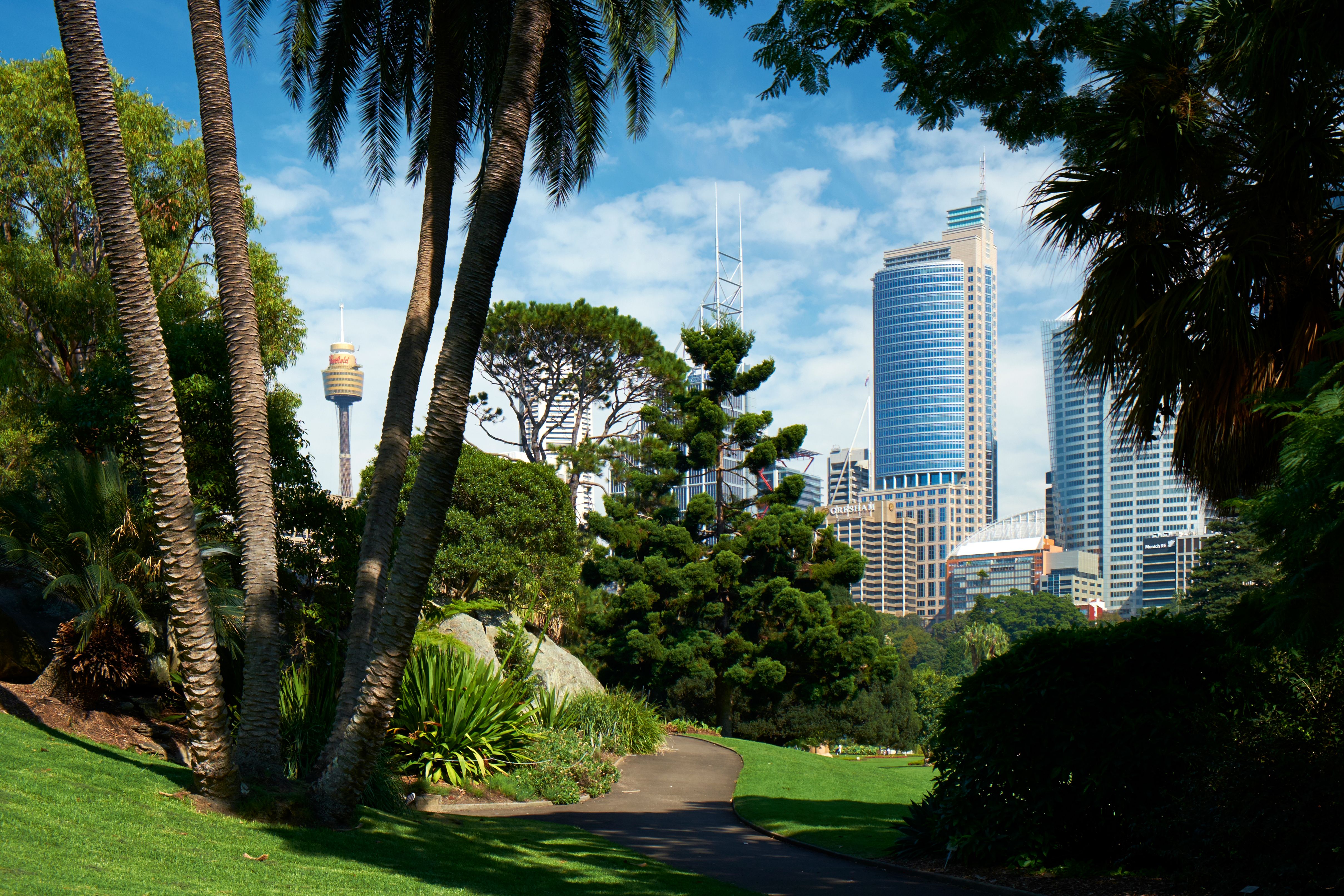 sydney botanical garden