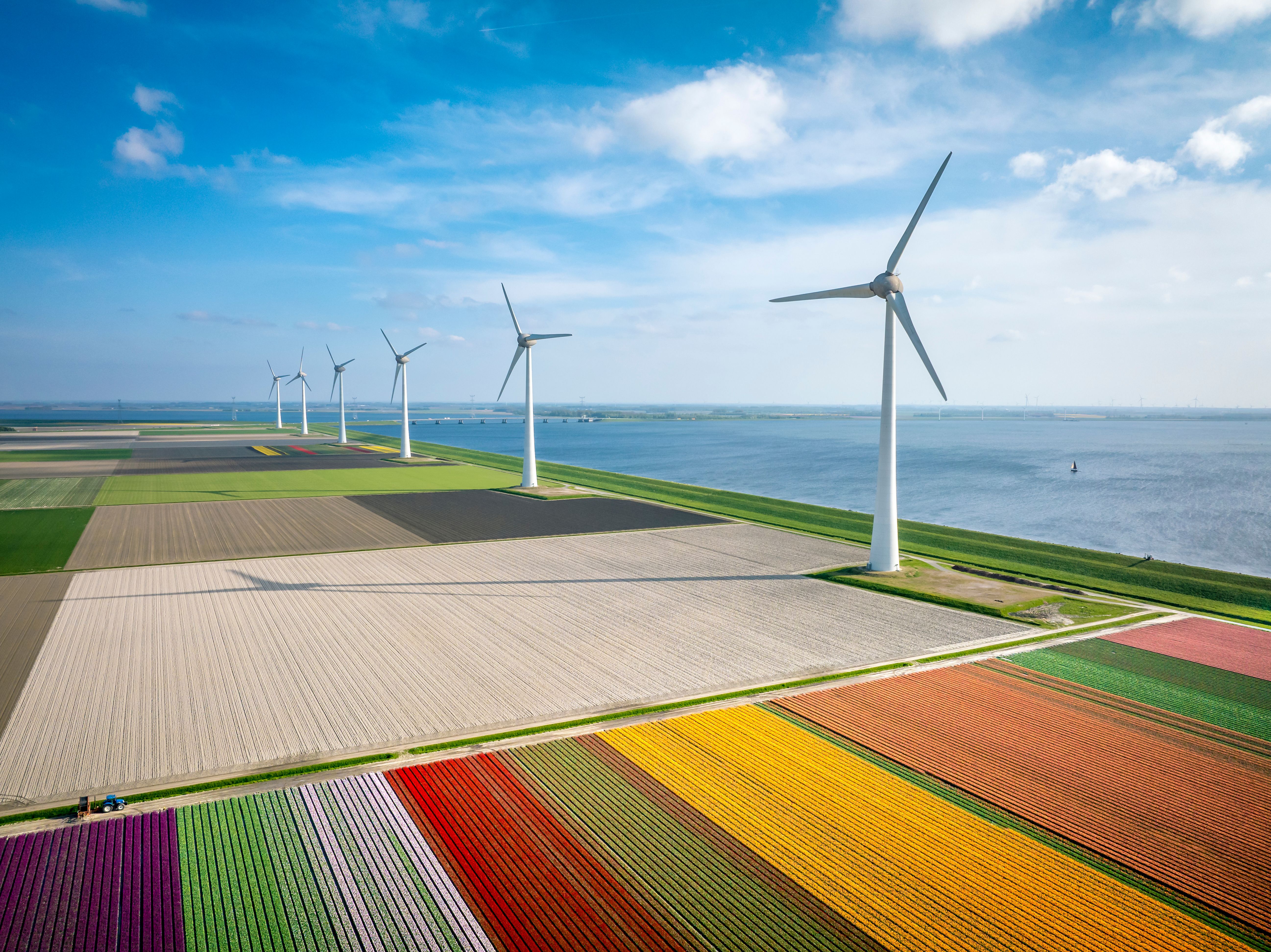 local culture netherlands