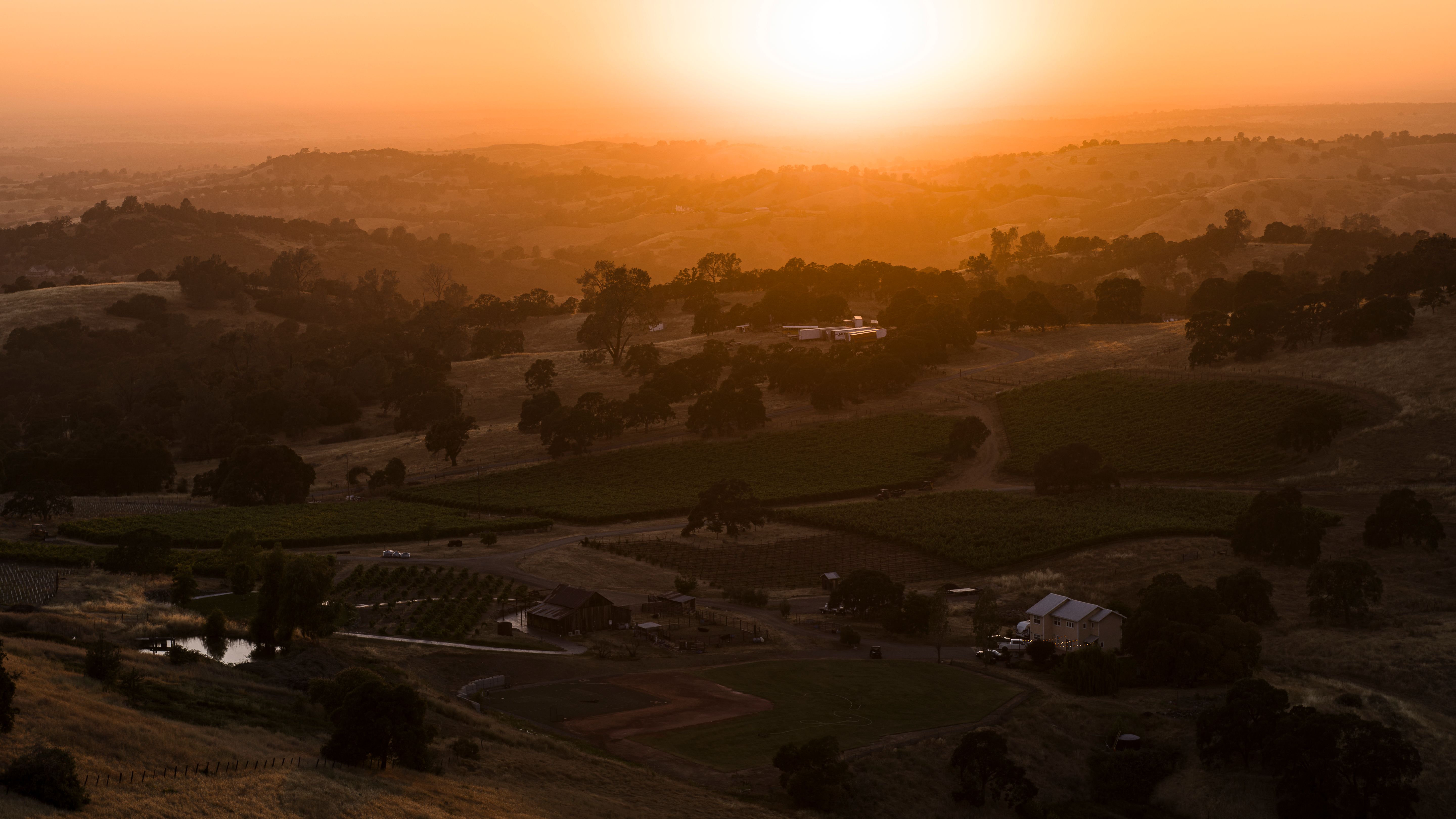 amador county vineyard