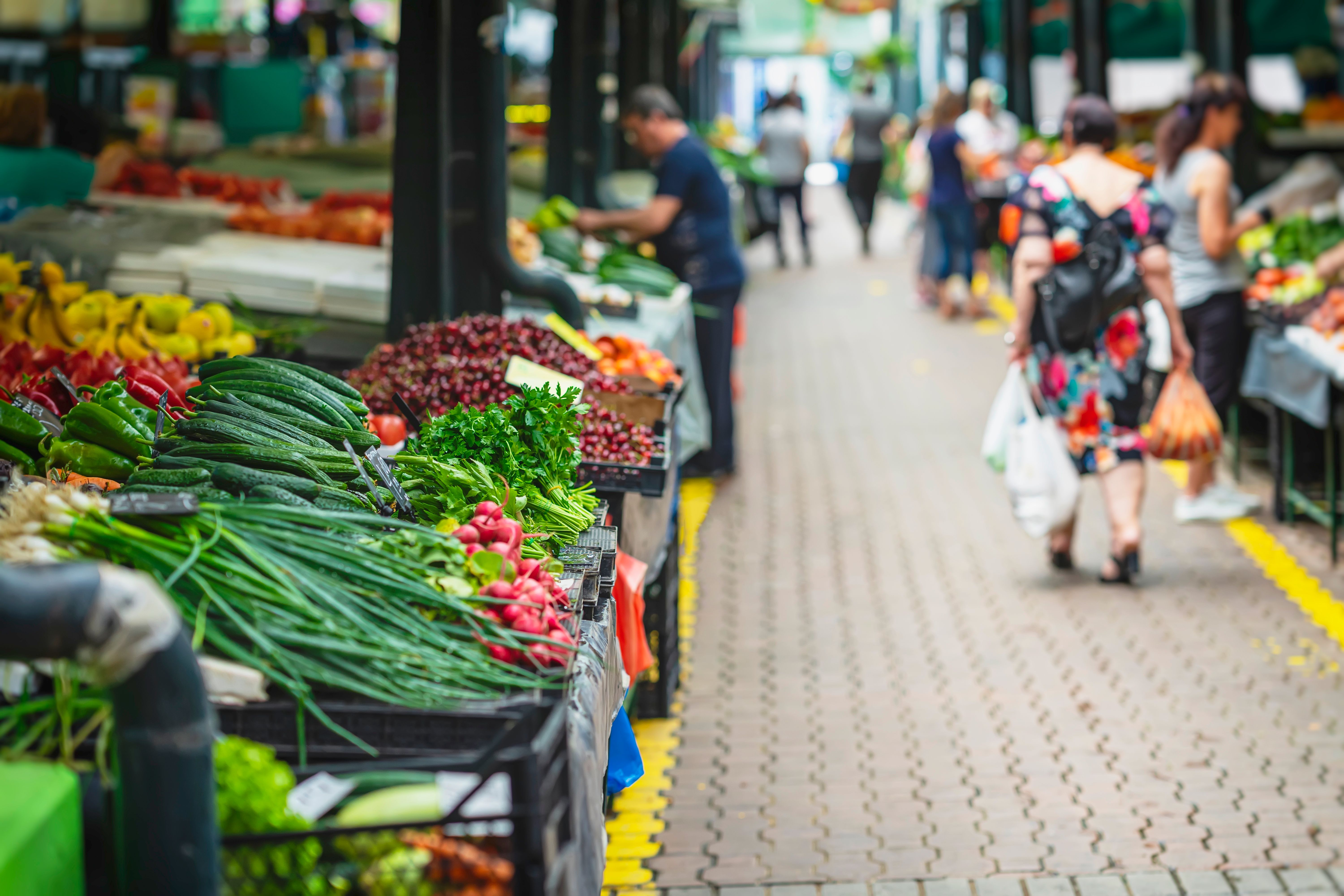 organic food market