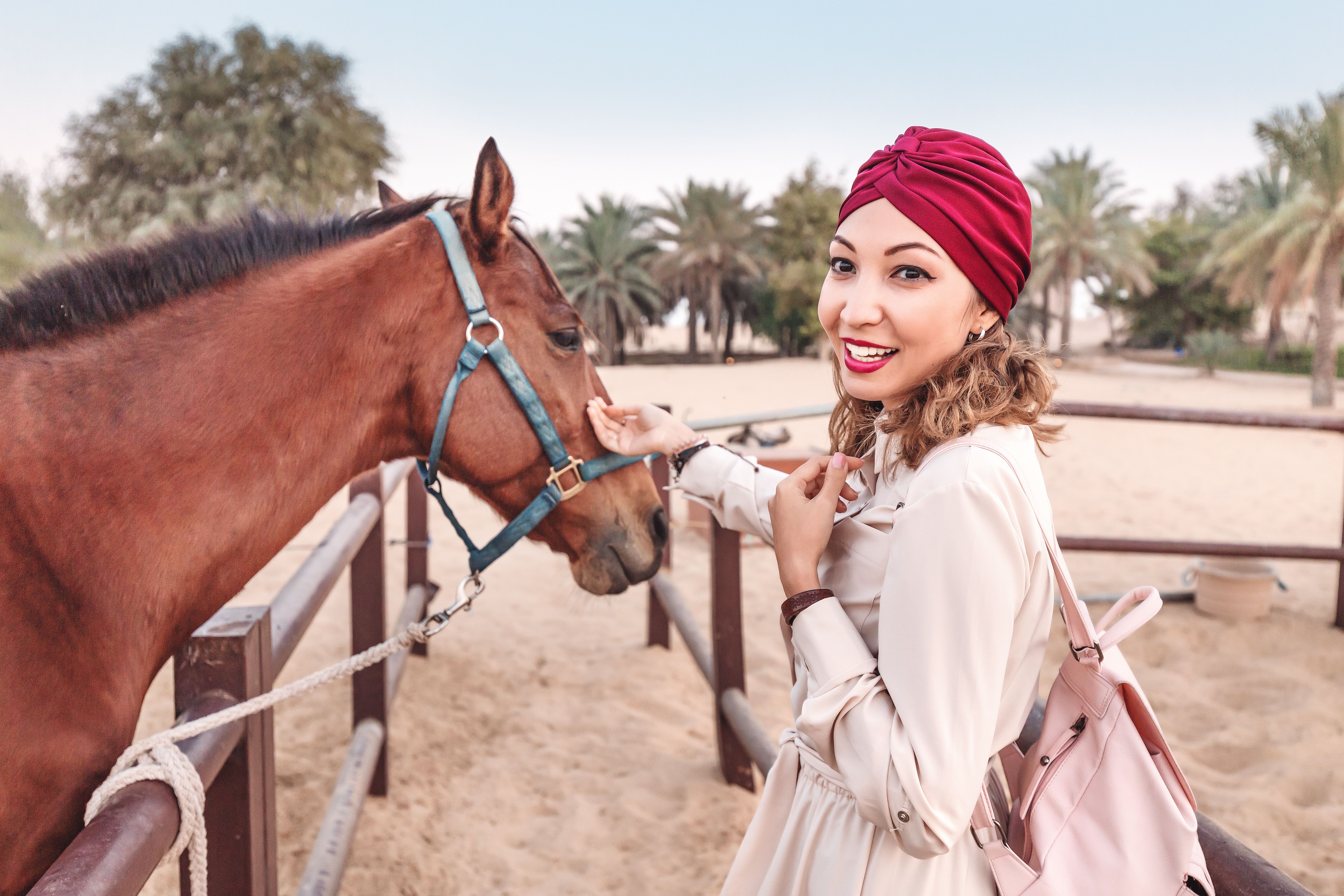 Happy Asian girl in turban touching and petting cute arabian horse. Hobby and friendship between animal and human concept