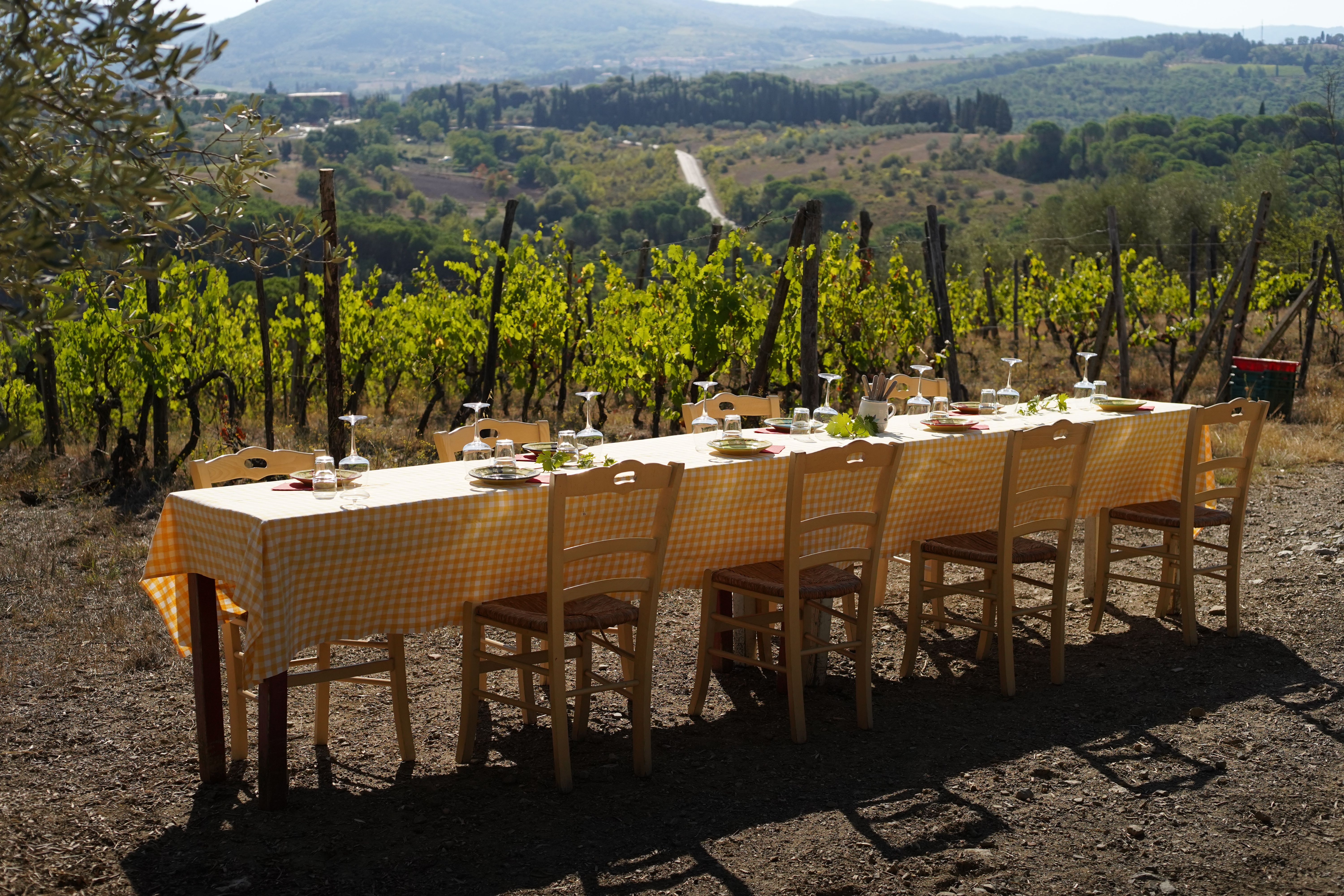 wine tasting Tuscany