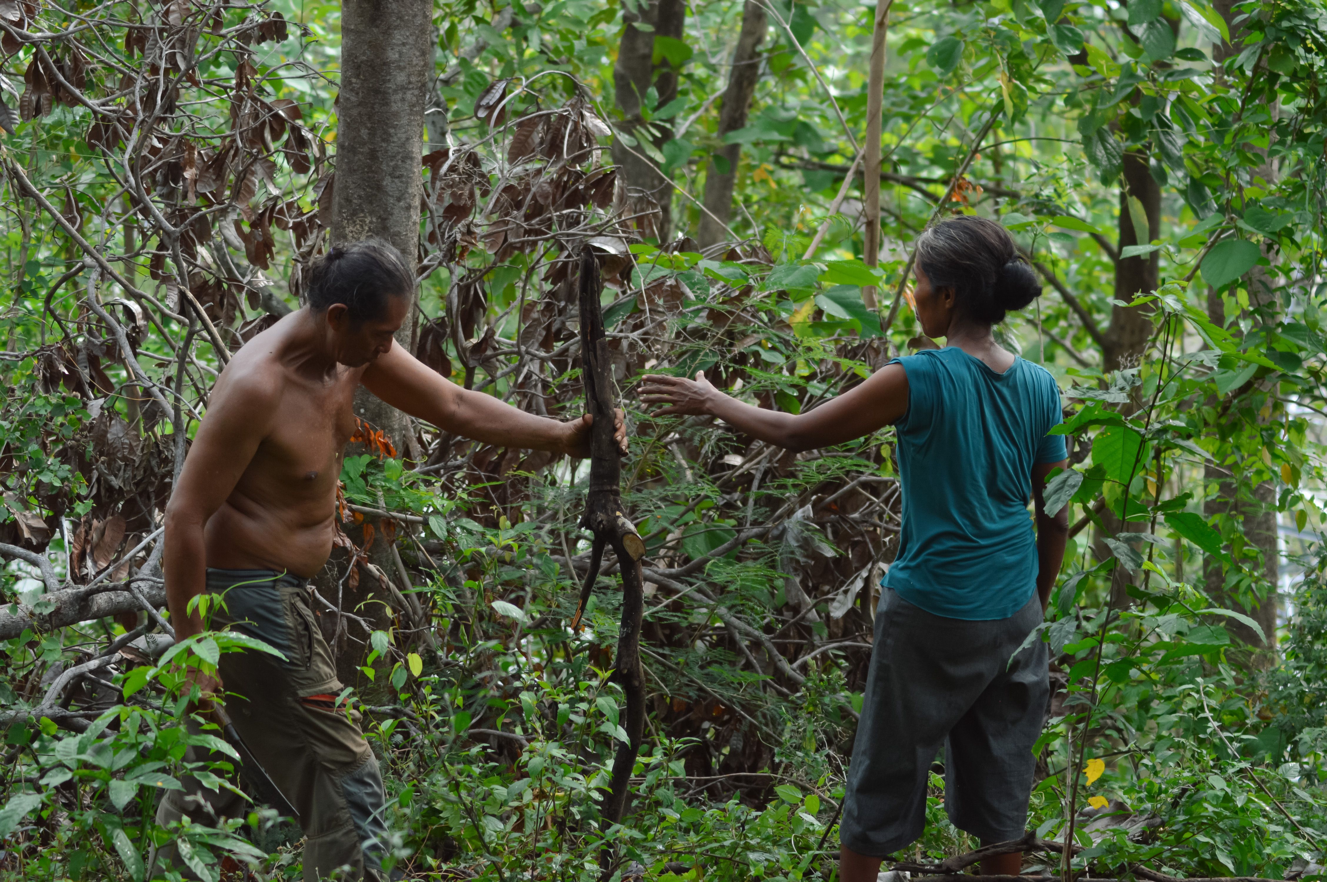 human wildlife coexistence
