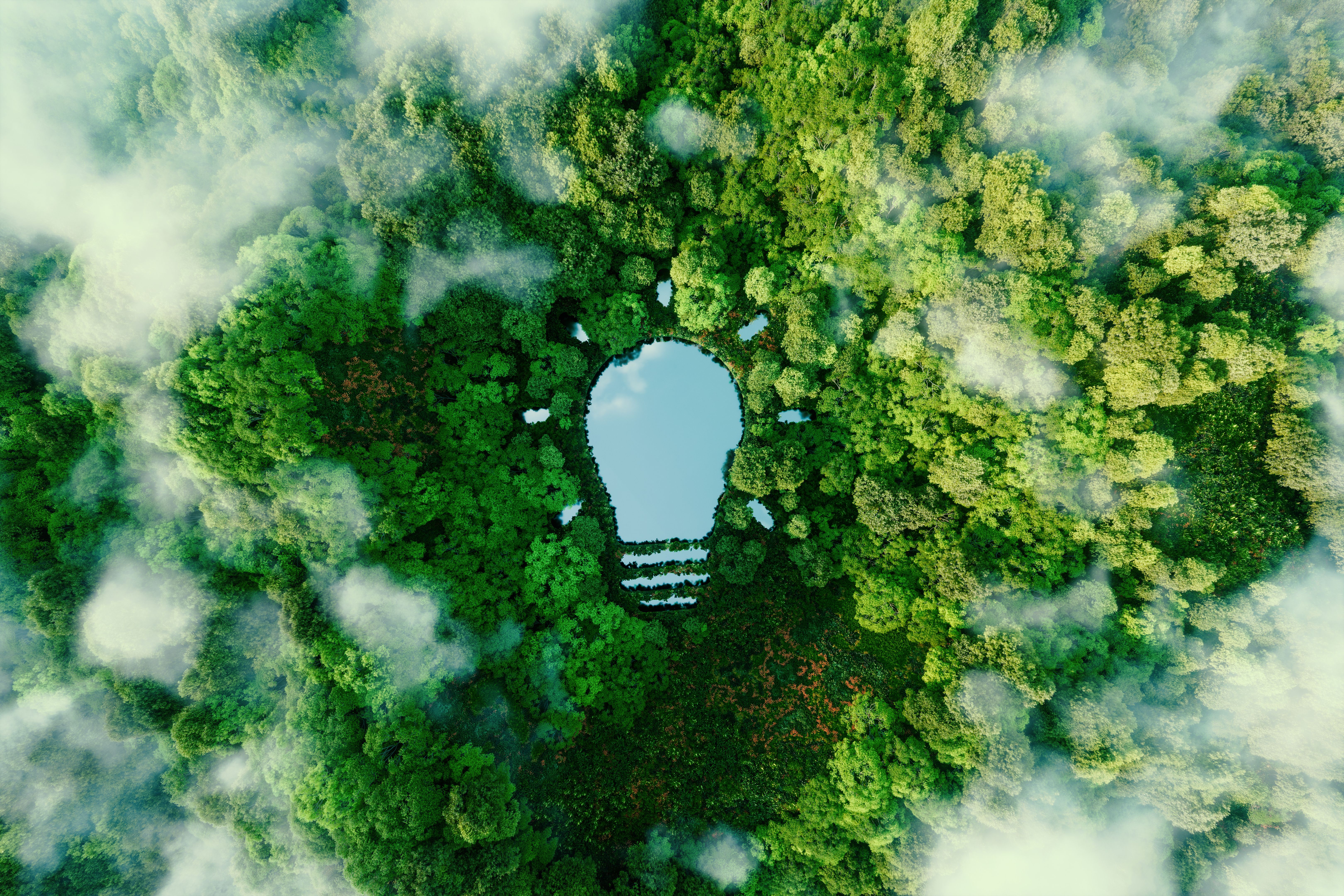 innovation sustainability