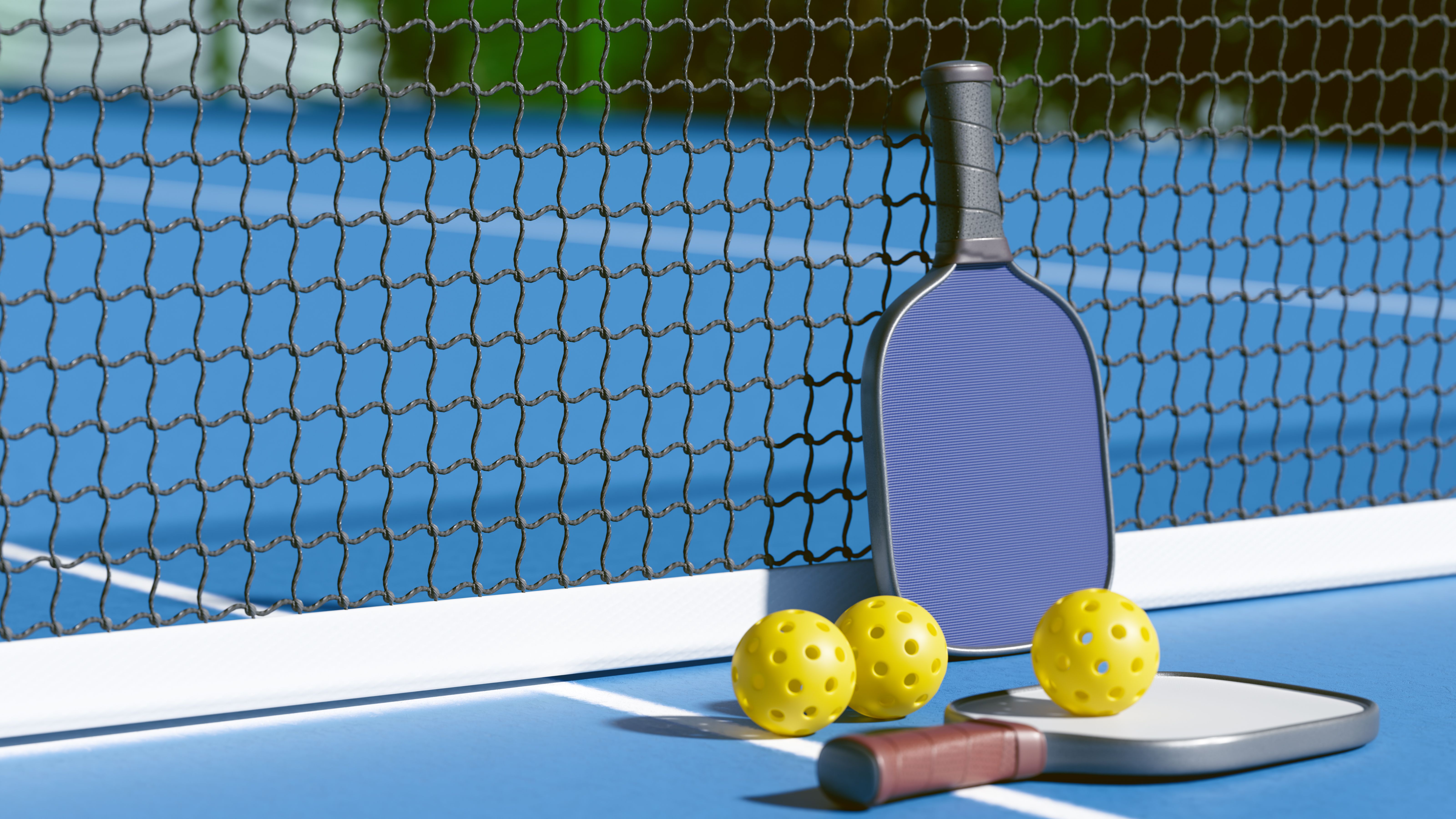 pickleball equipment
