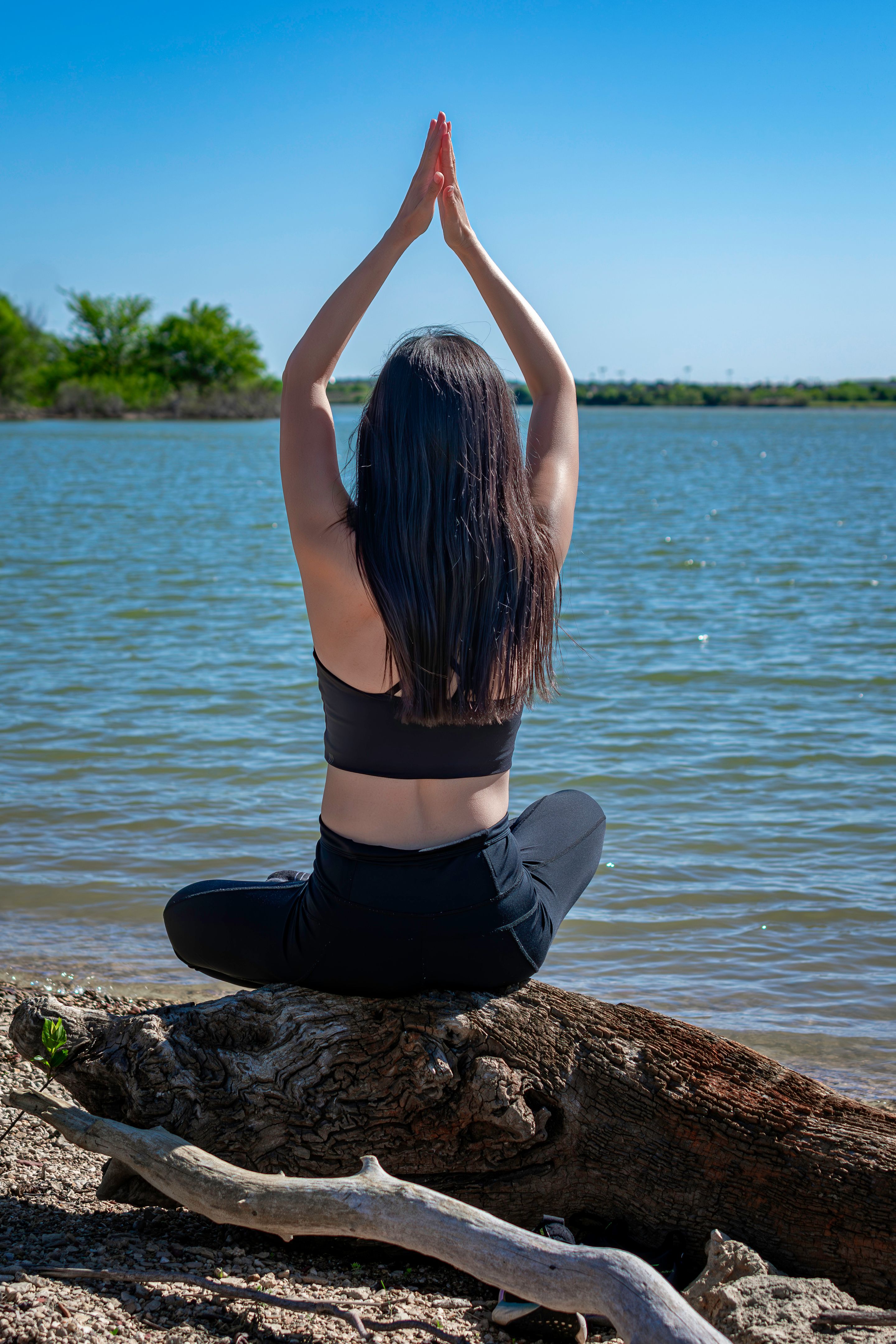 native vegetation lakeside