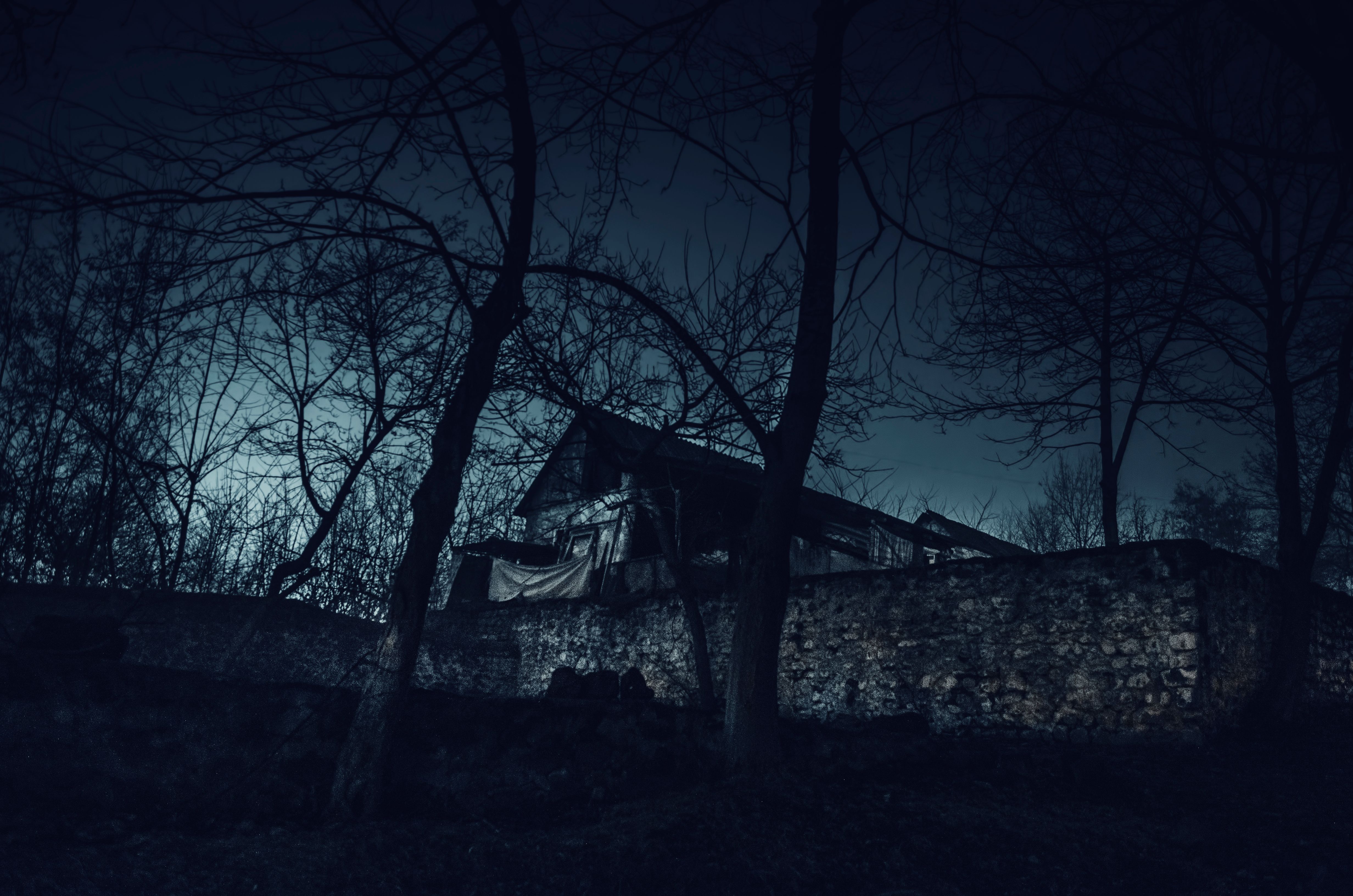 house in fog at night in the garden, Landscape of ghost house in the dark forest.