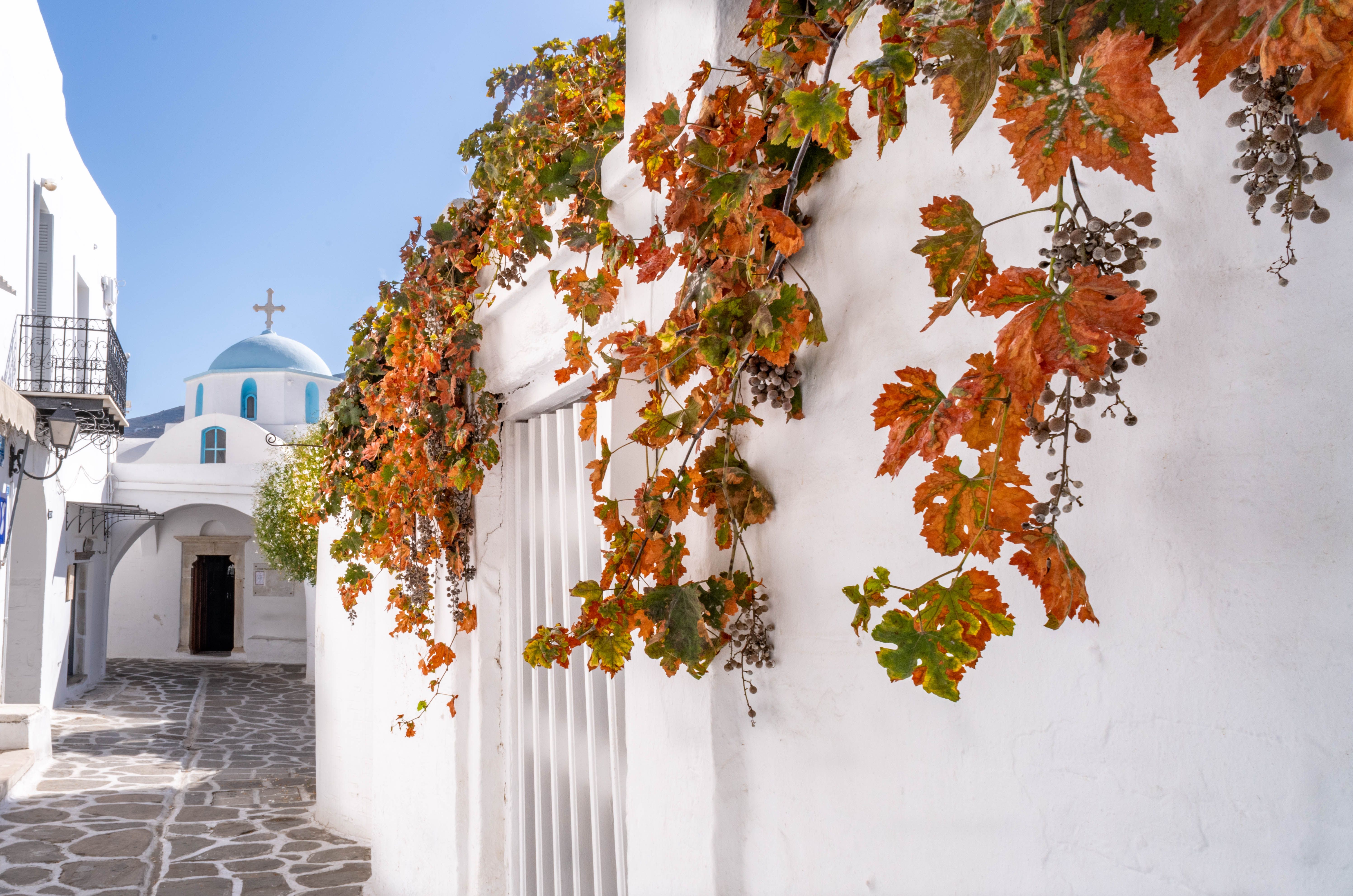 paros autumn