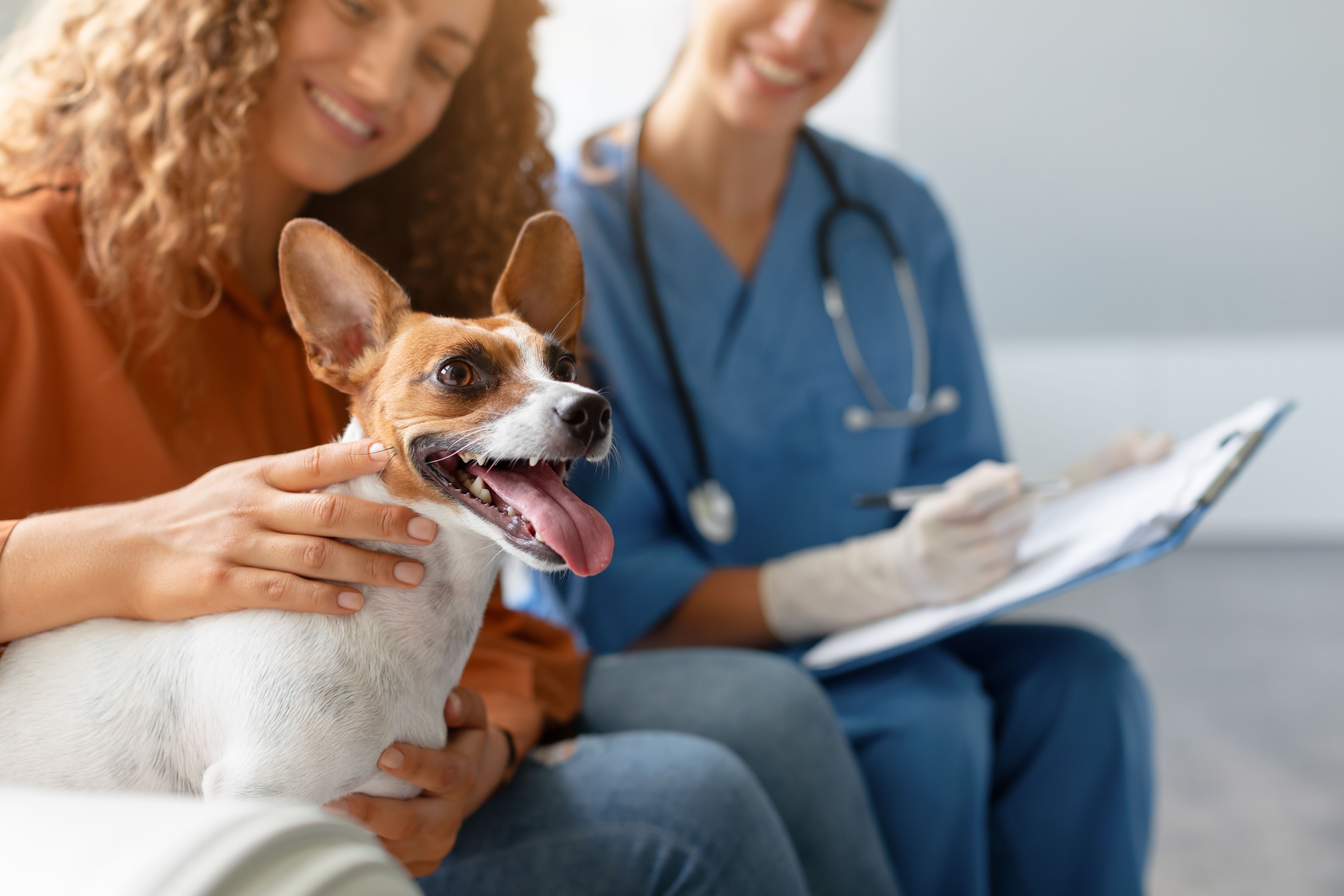 customer service pets