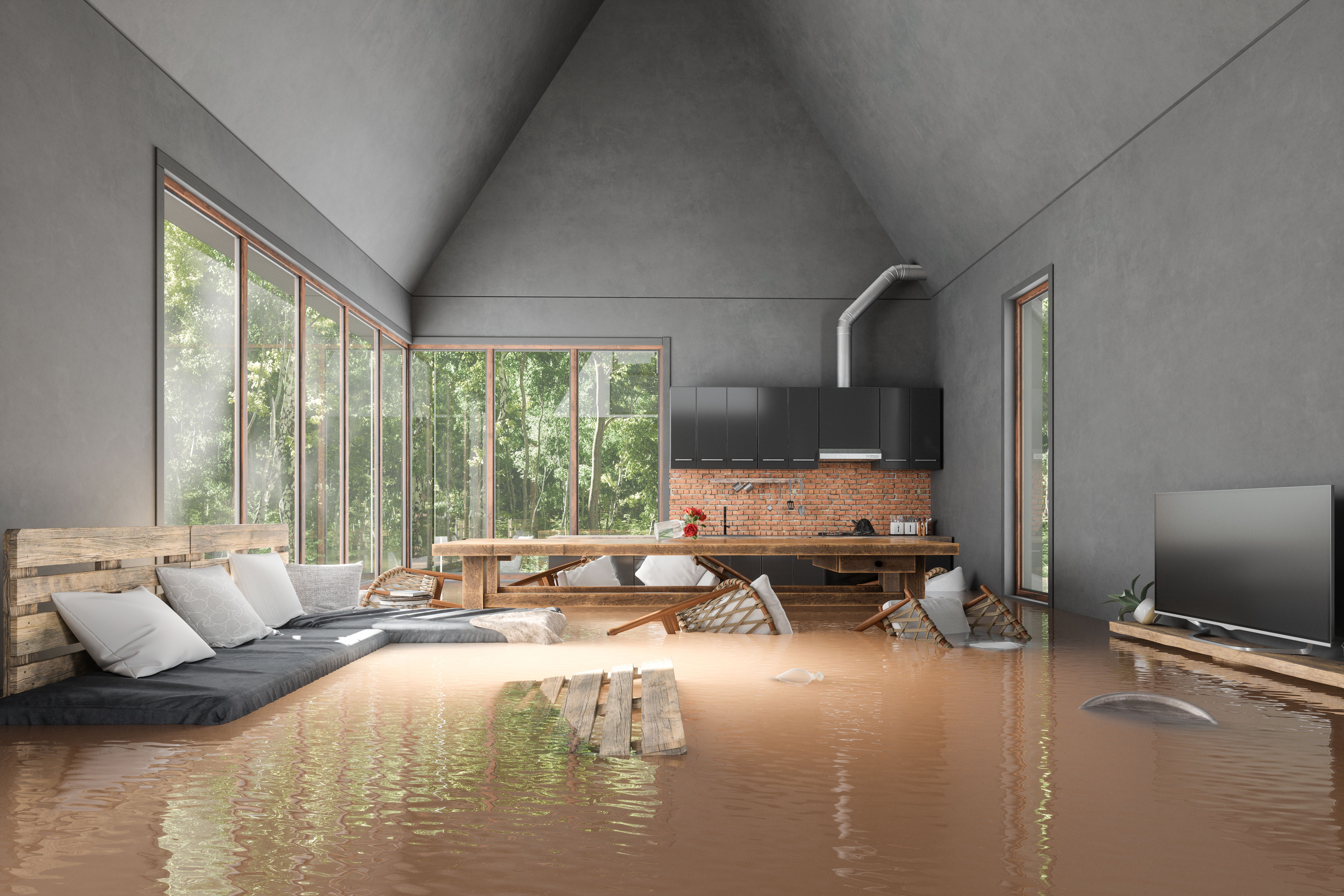 home preparation flood