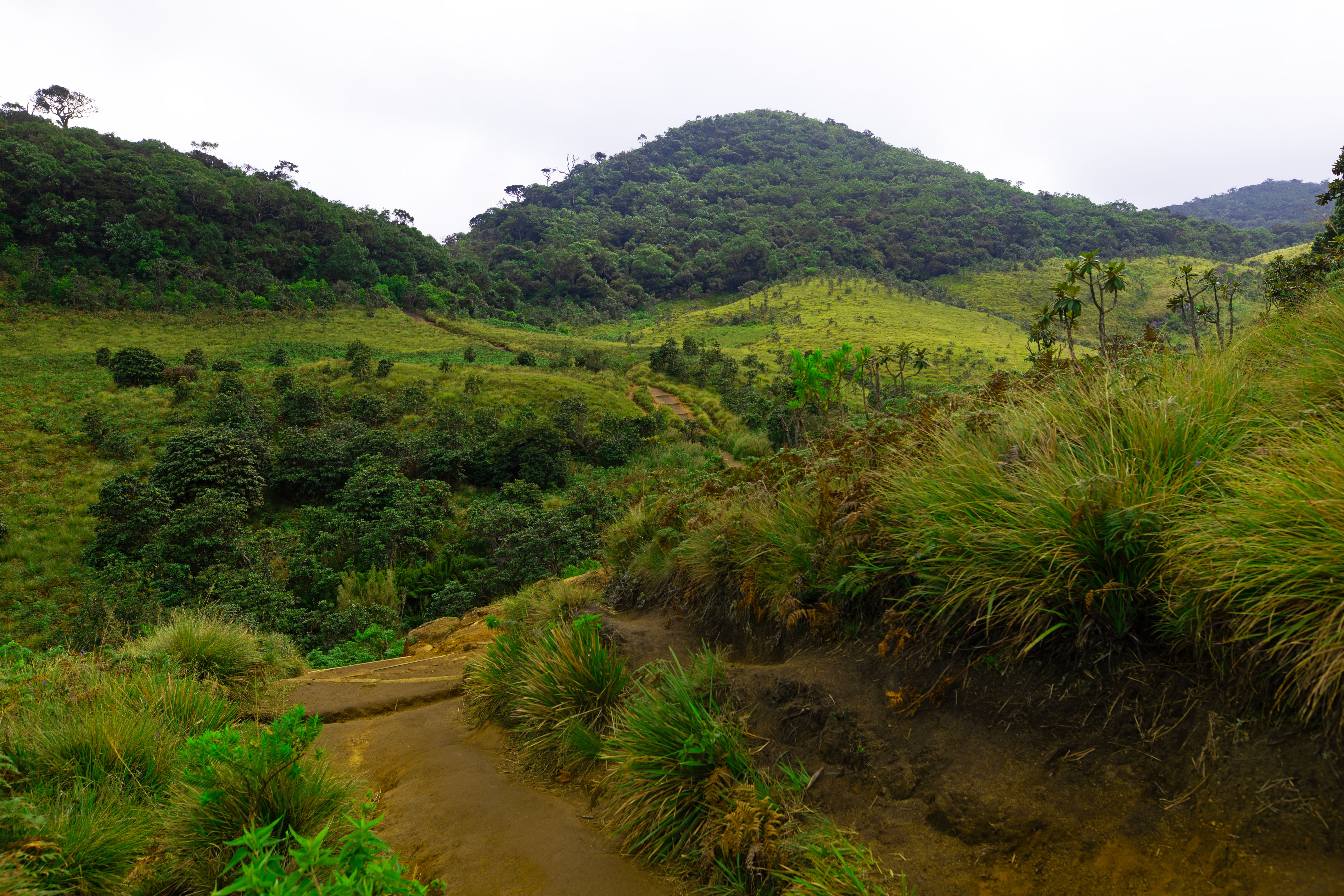wildlife park sri lanka