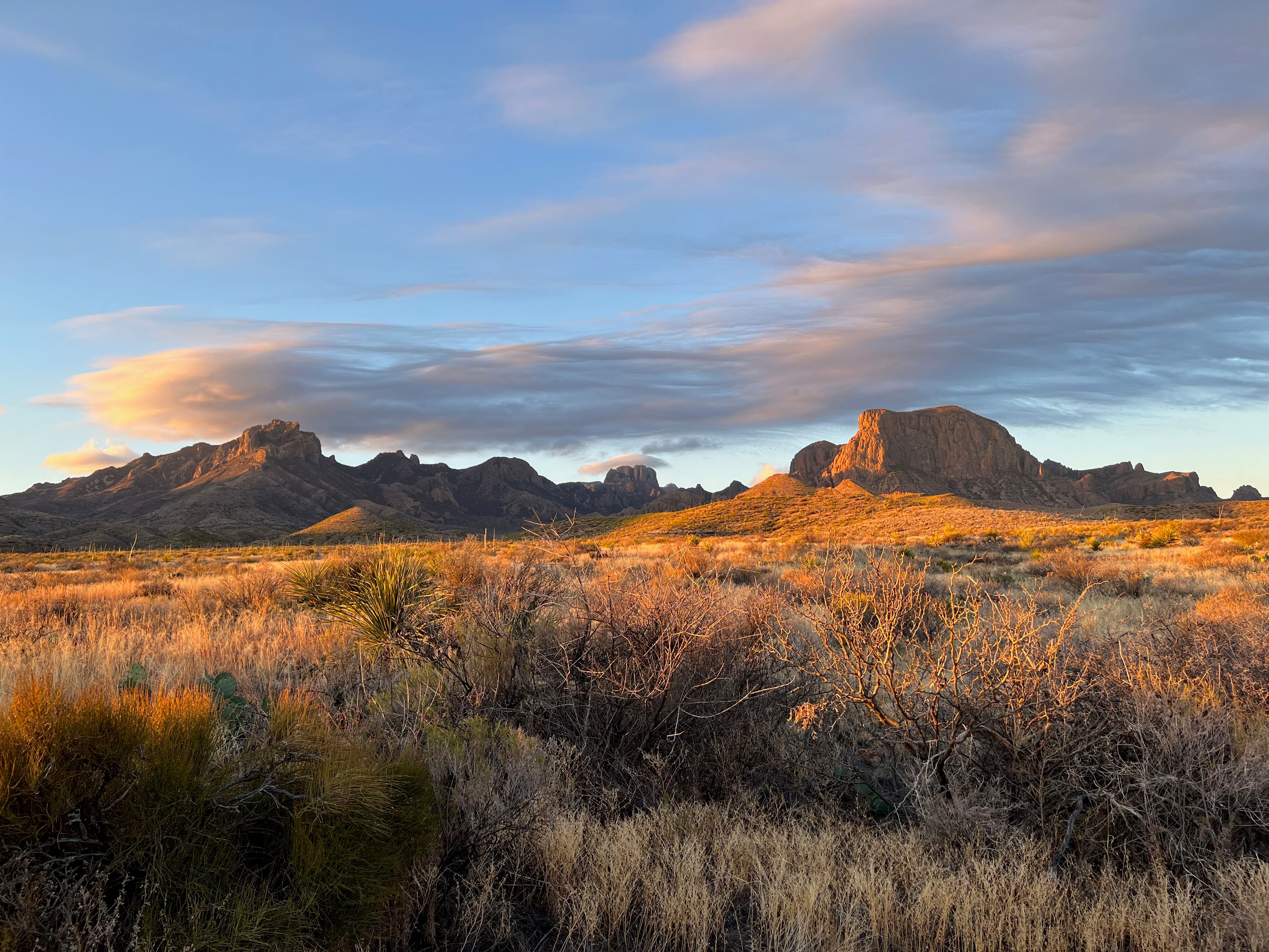 Texas, Teksas, Houston Ev Fiyatları