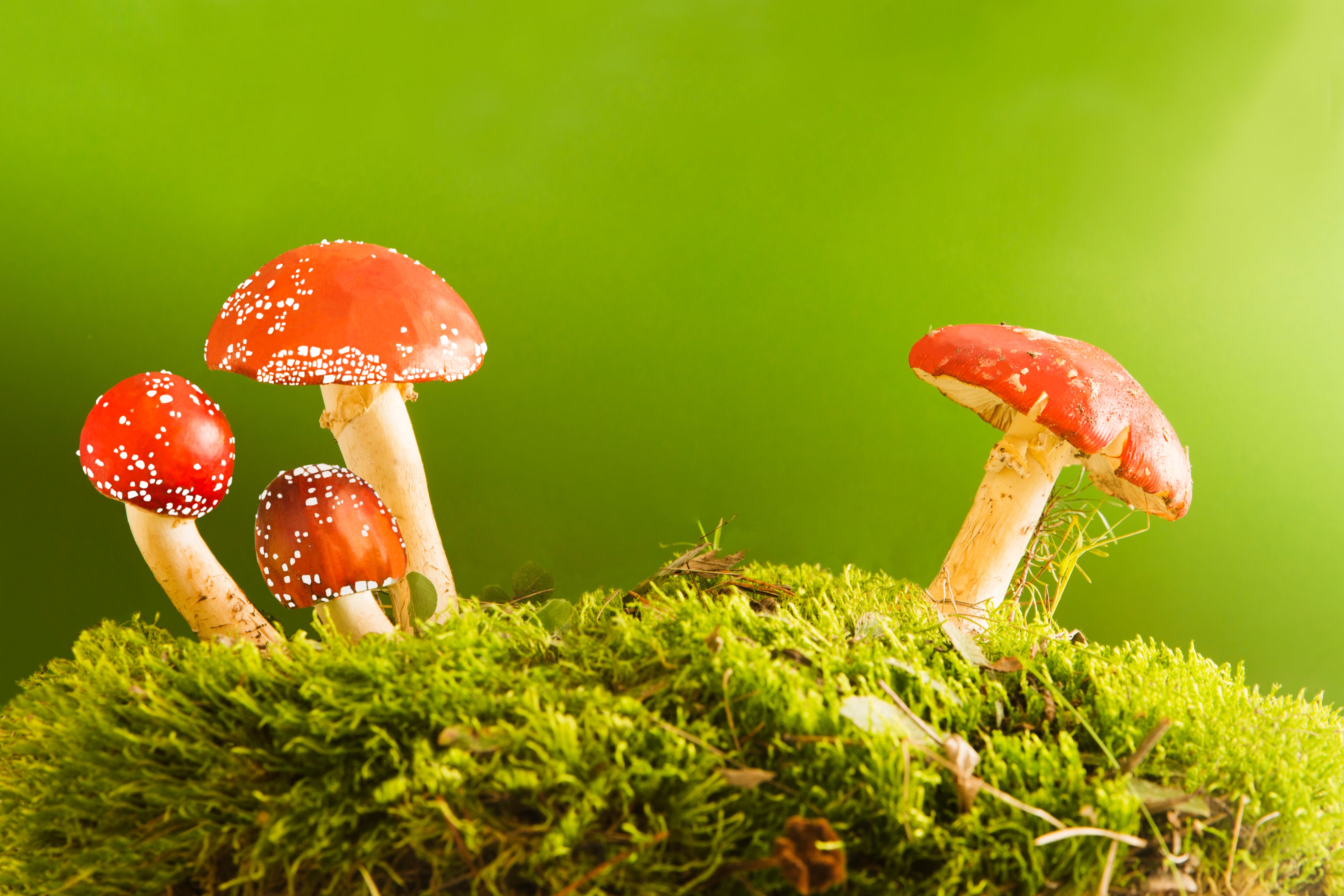 biohacking techniques