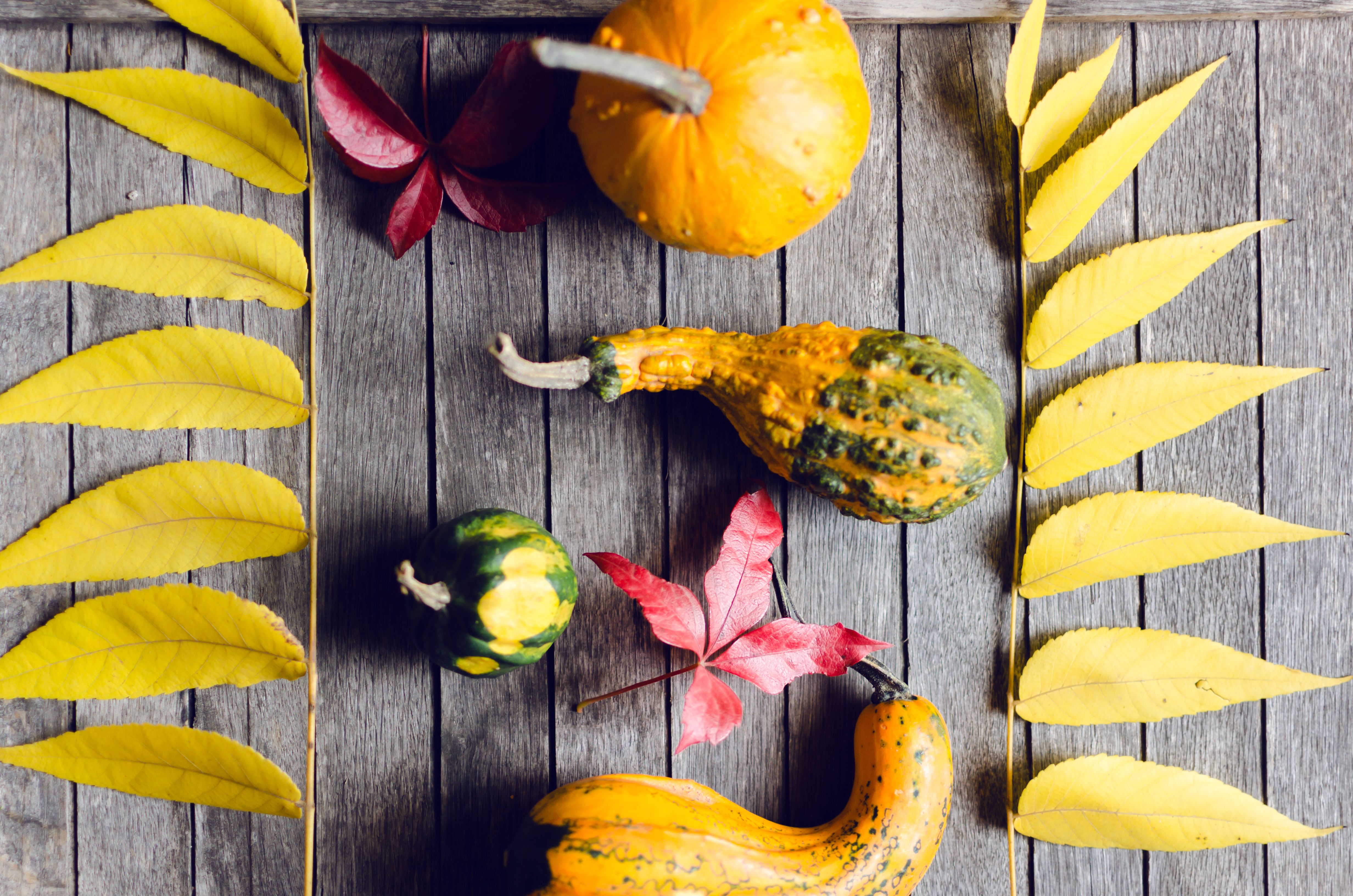 proportionate furniture