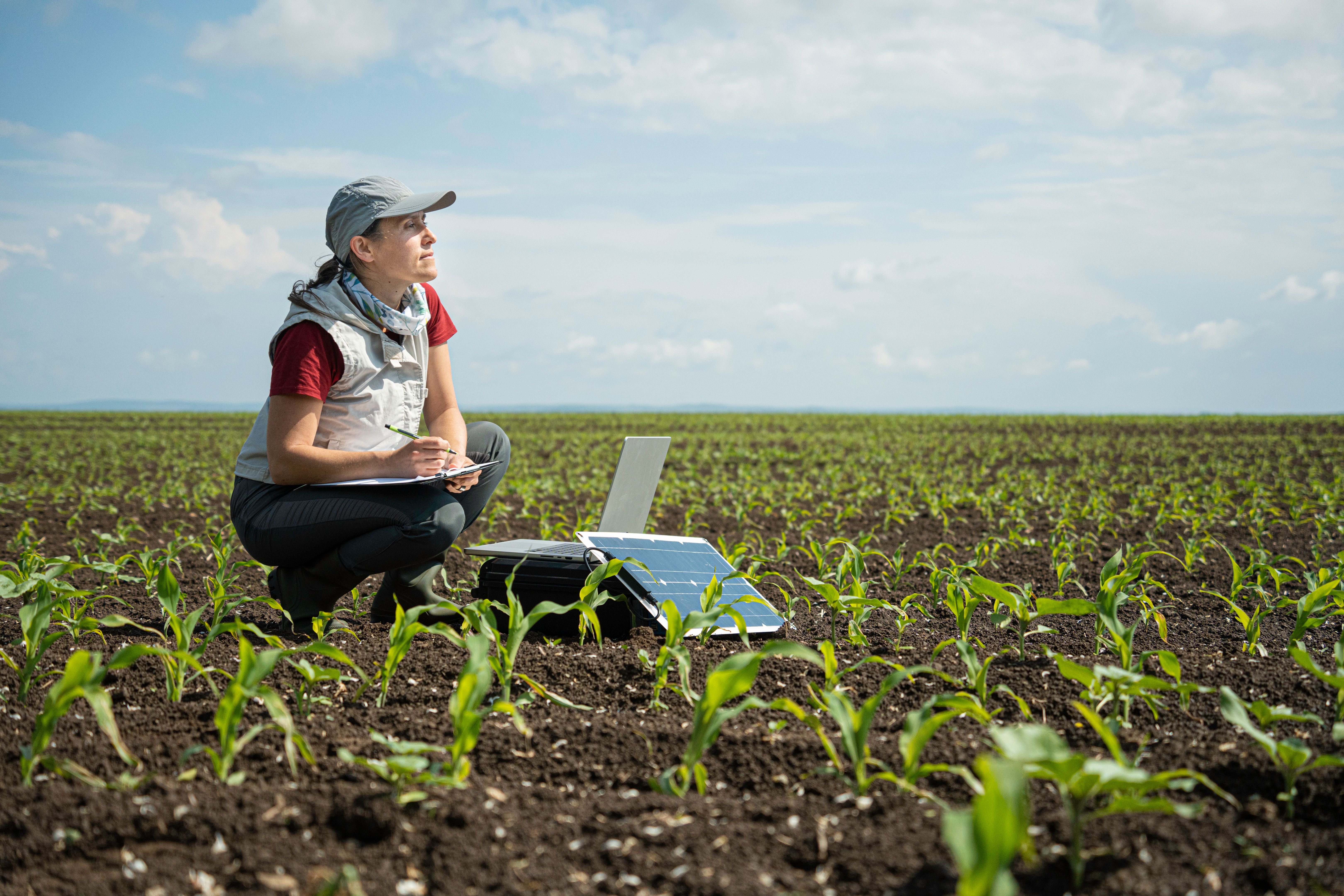 regenerative farming