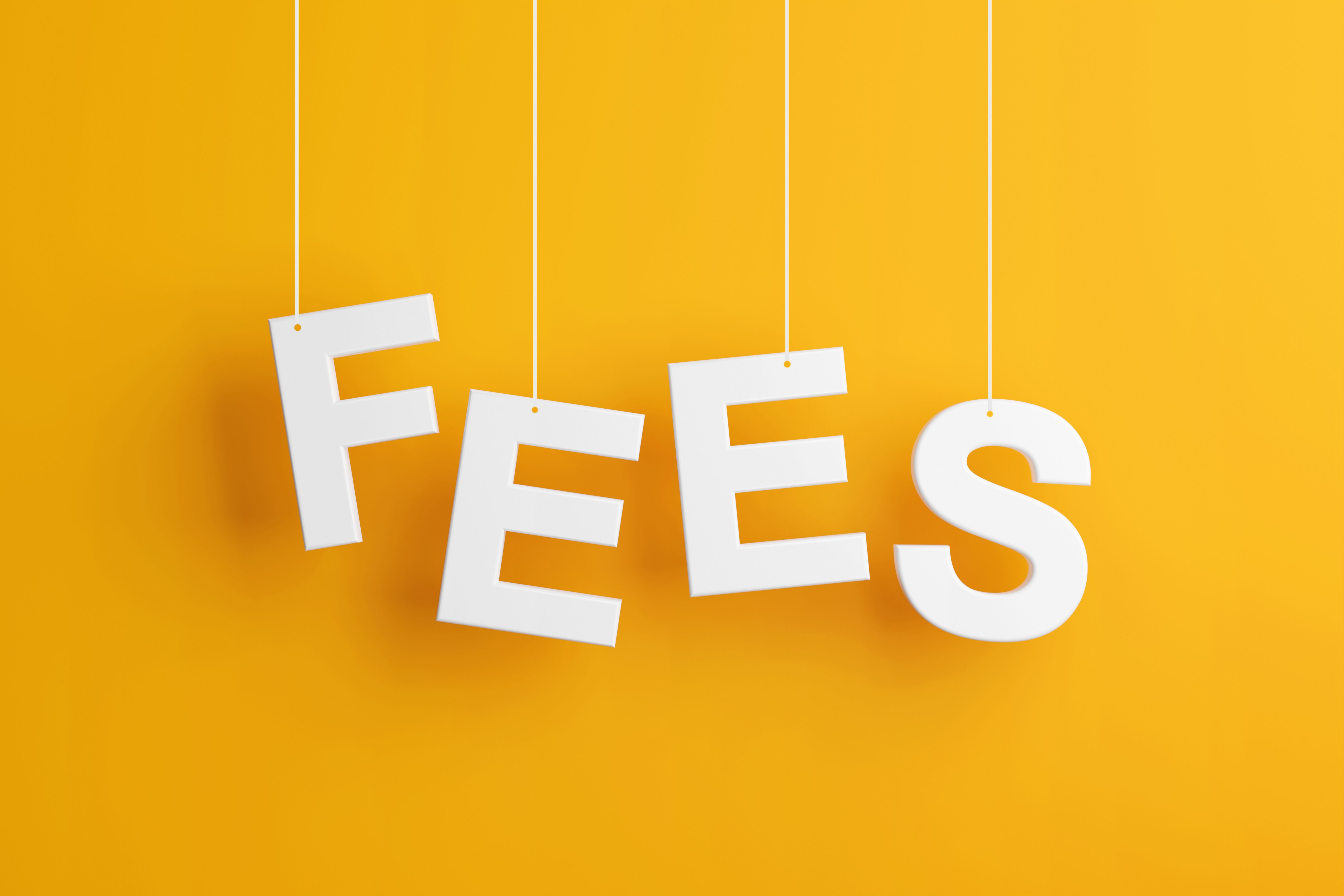 fixed fee consulting