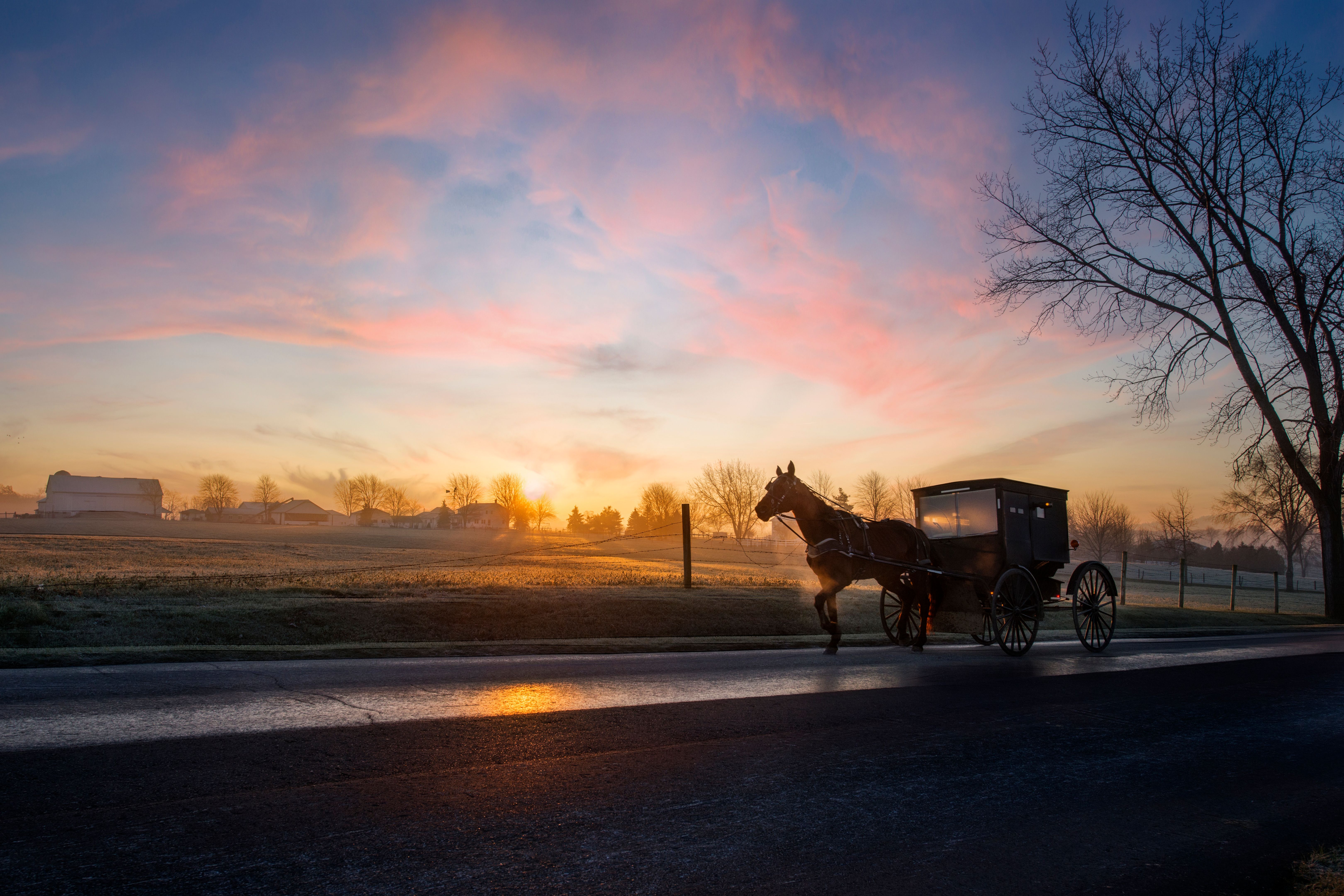amish countryside