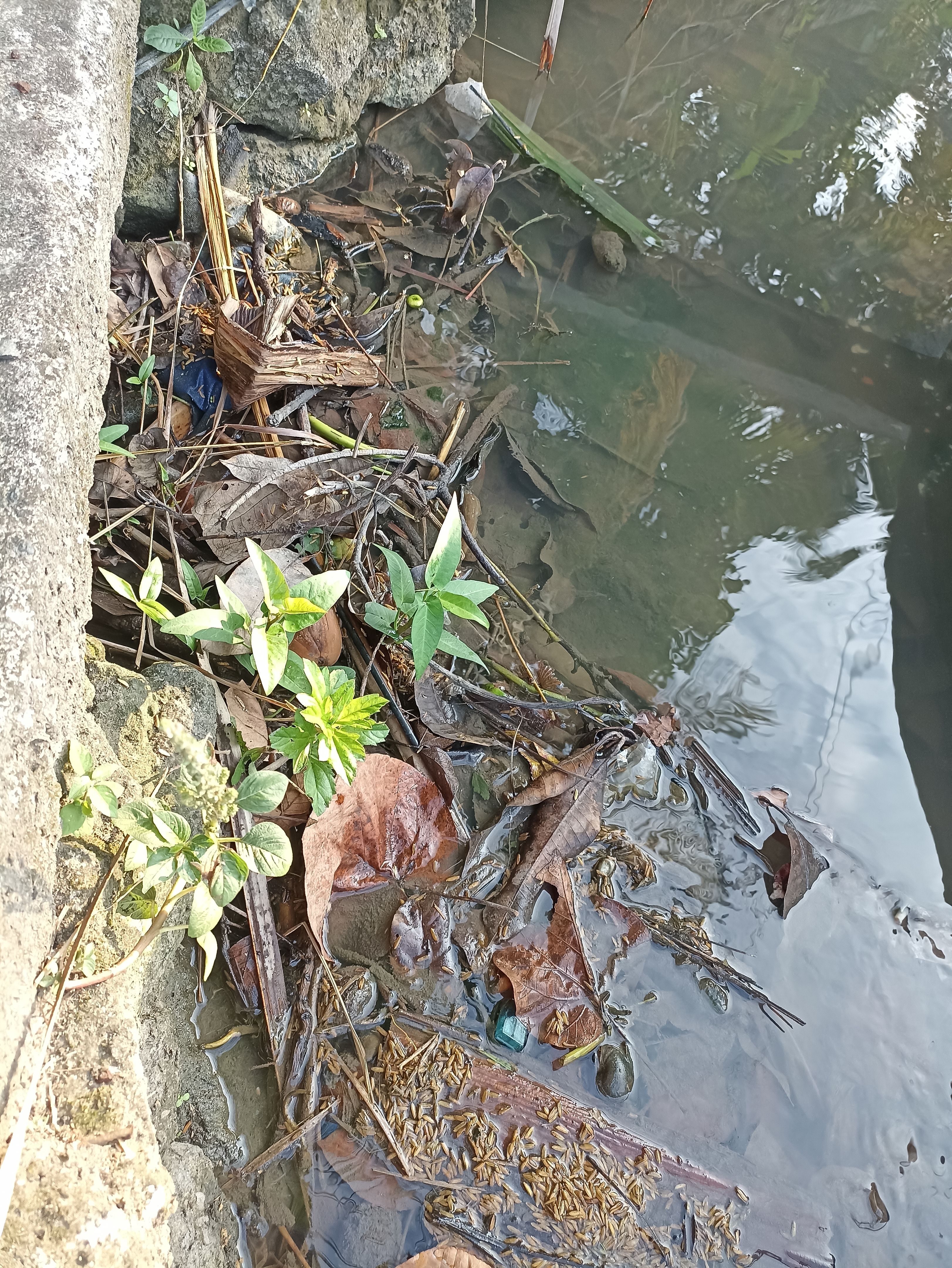 recycling haute savoie