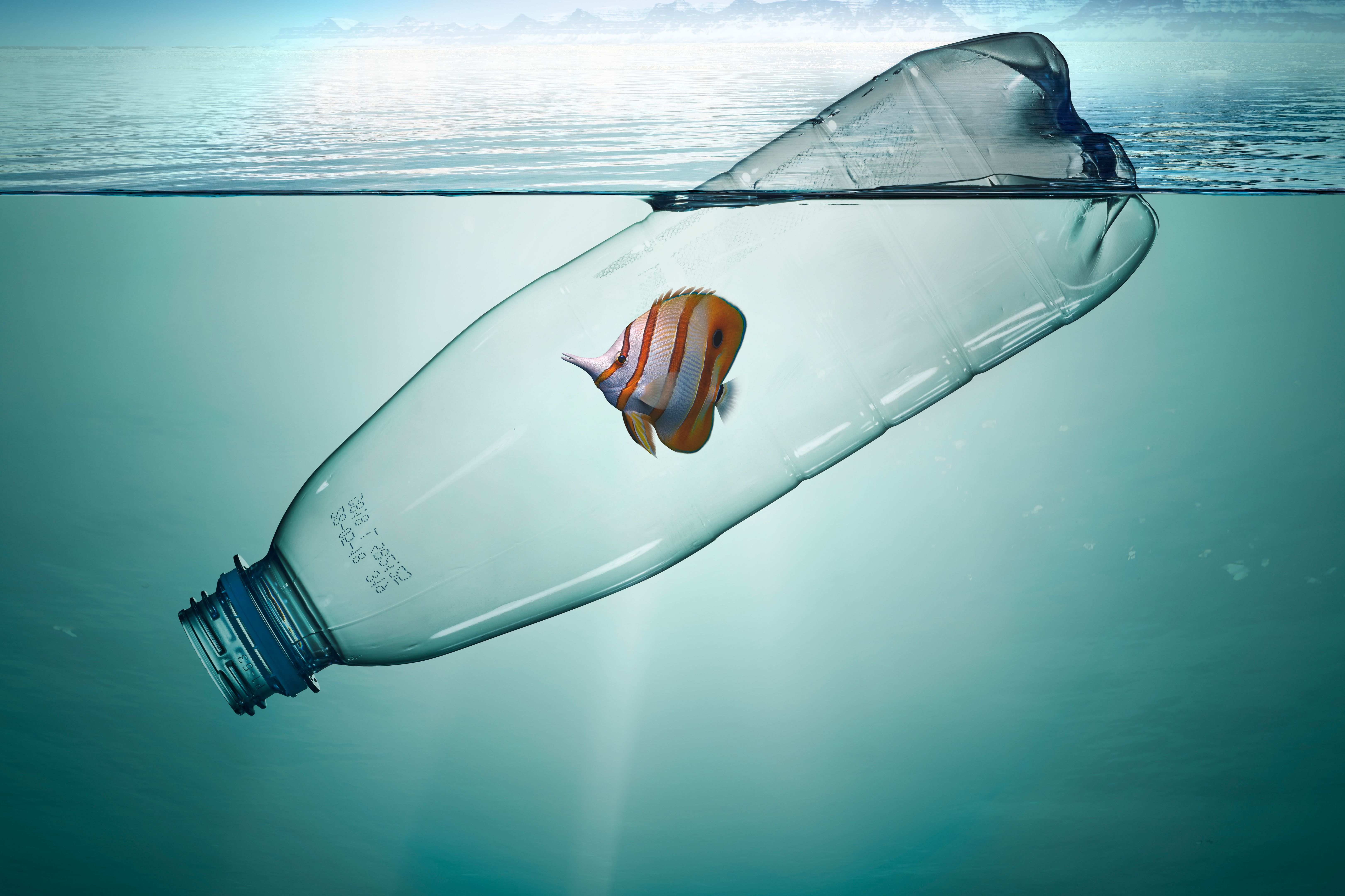 Plastic bottle with fish, pollution that floats in the ocean