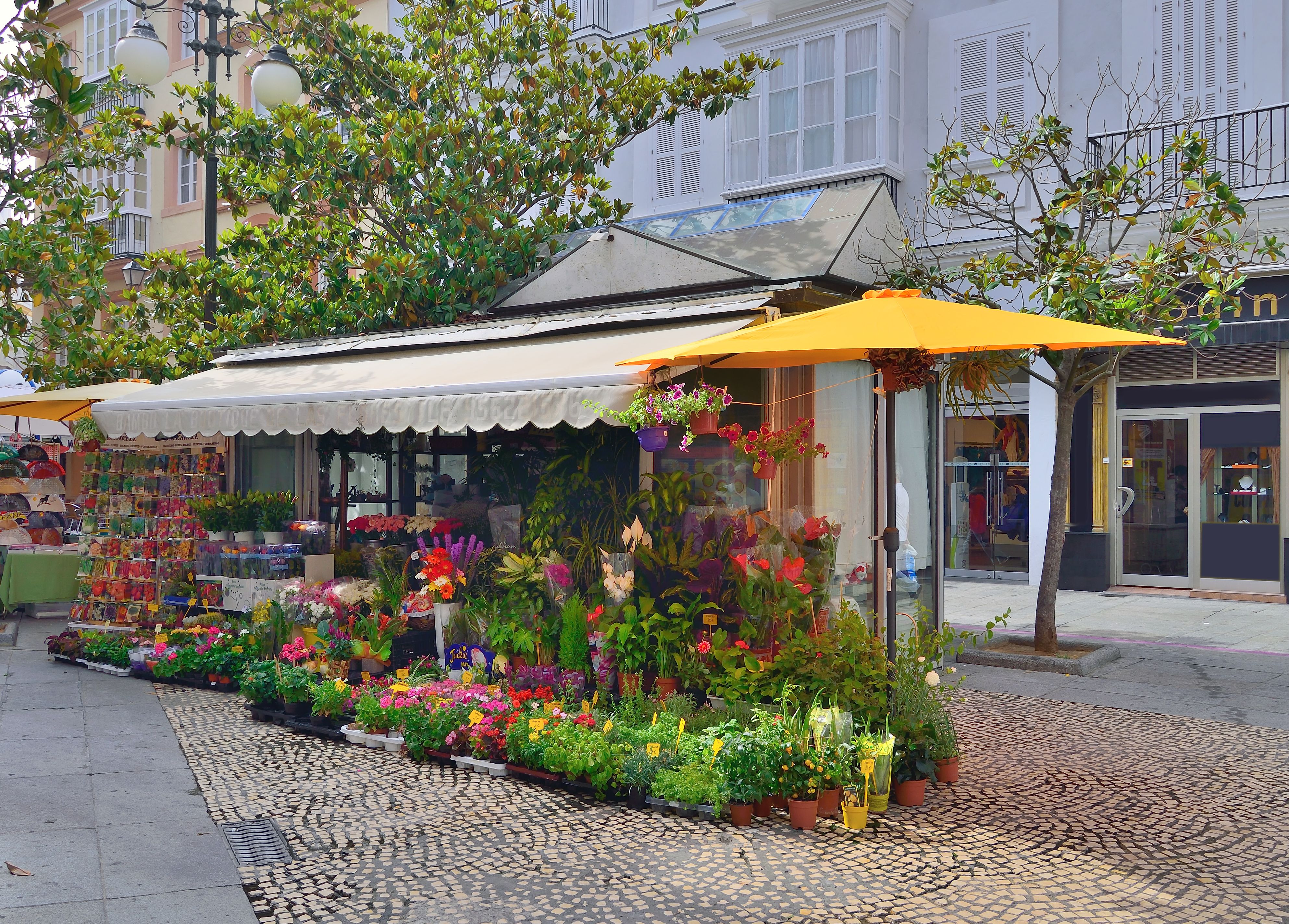 florist shop